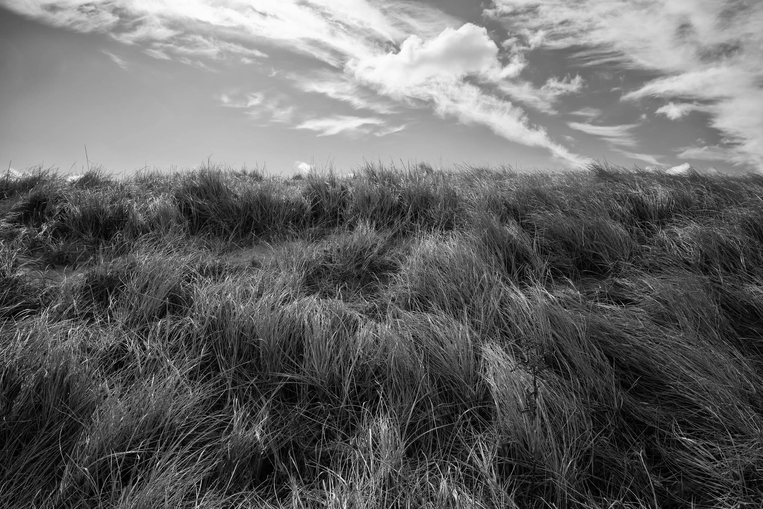 JAH_1308-Edit.jpg