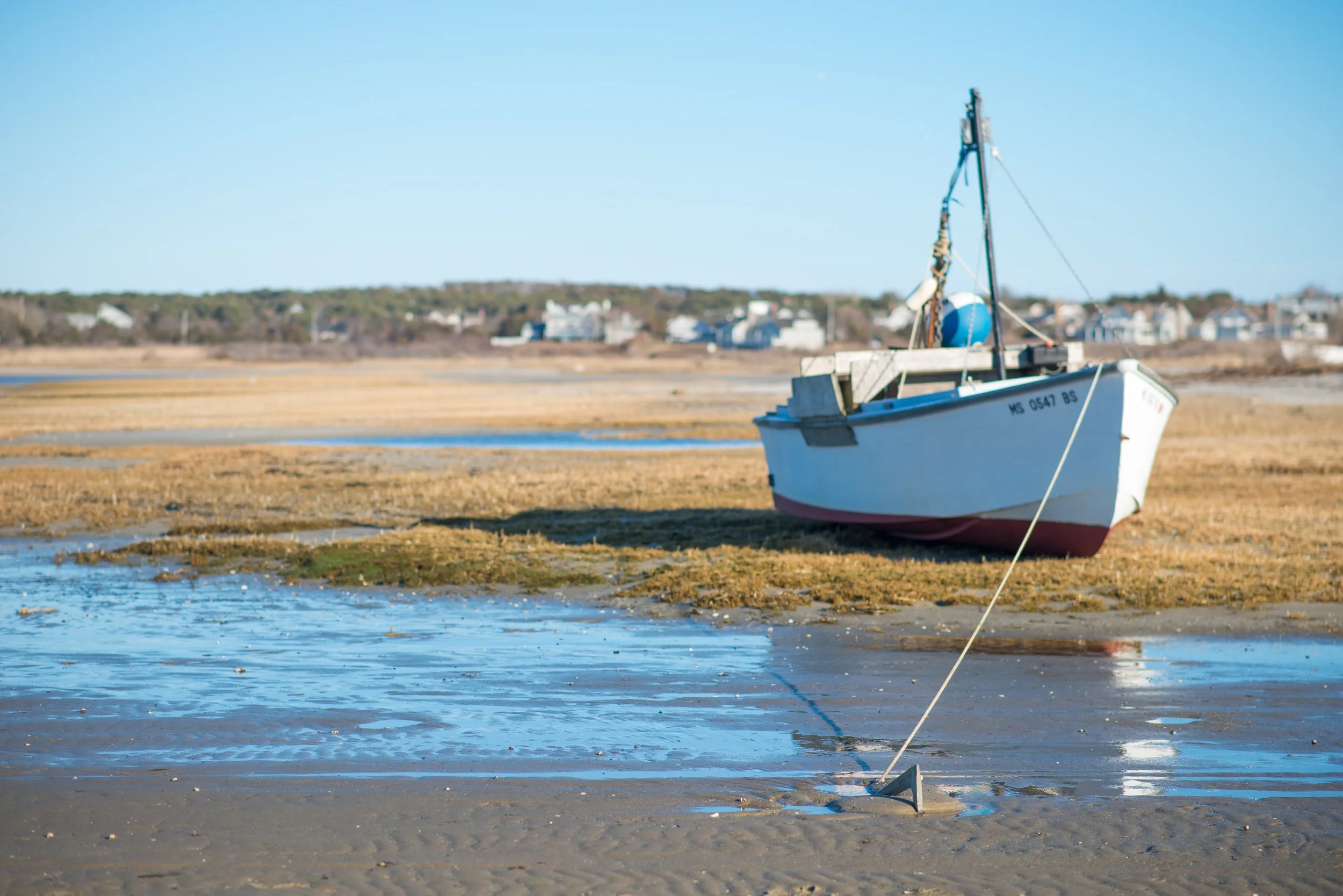 Stranded Scalloper (GH)-2.jpg