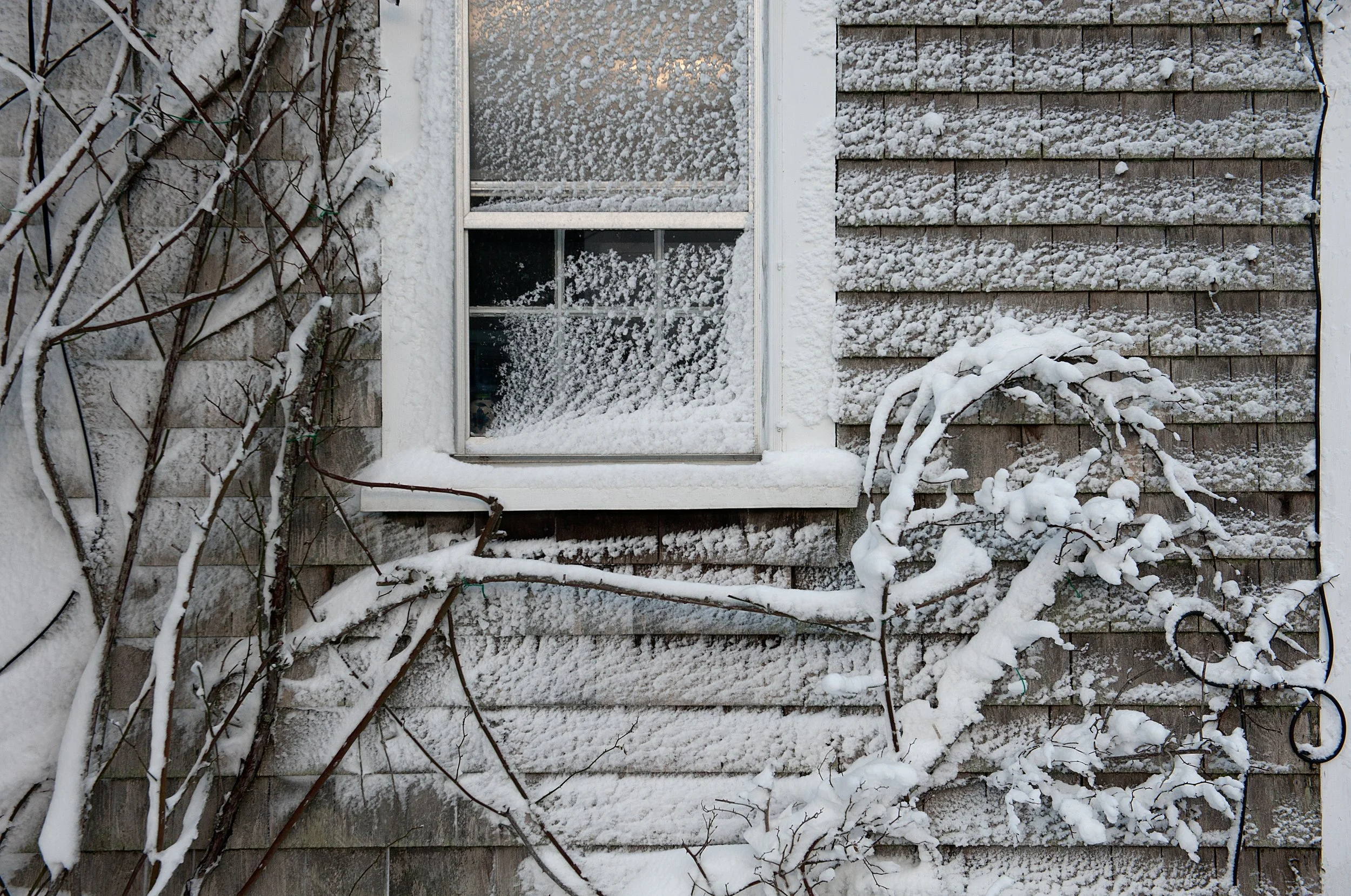 Winter-30.jpg