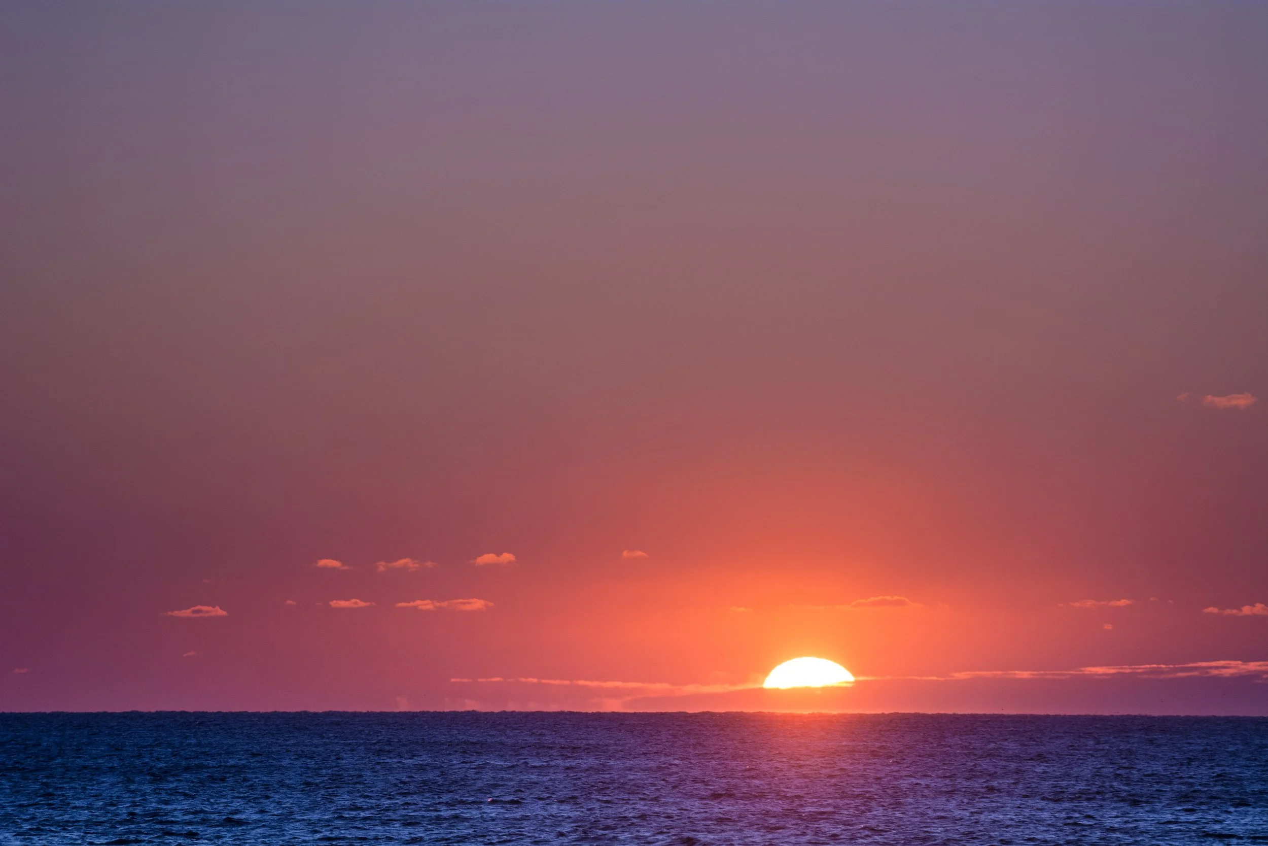 Cisco Sunset (GH)-2.jpg
