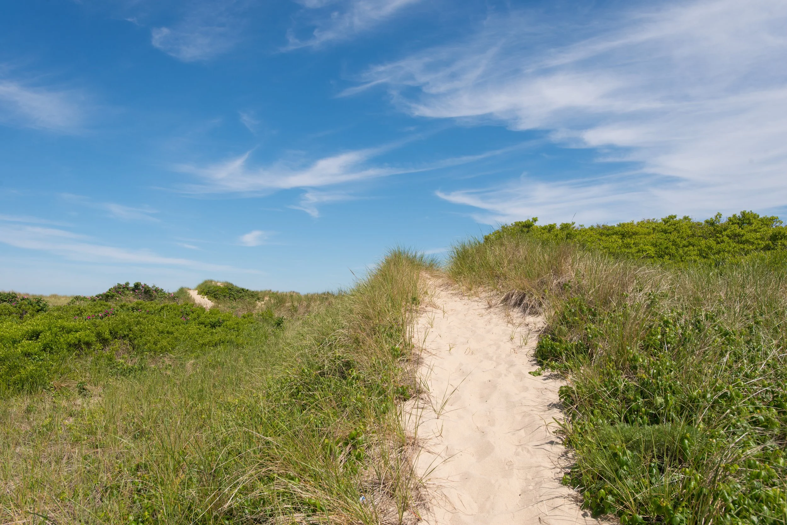 Beach Dune Path (GH)-2.jpg