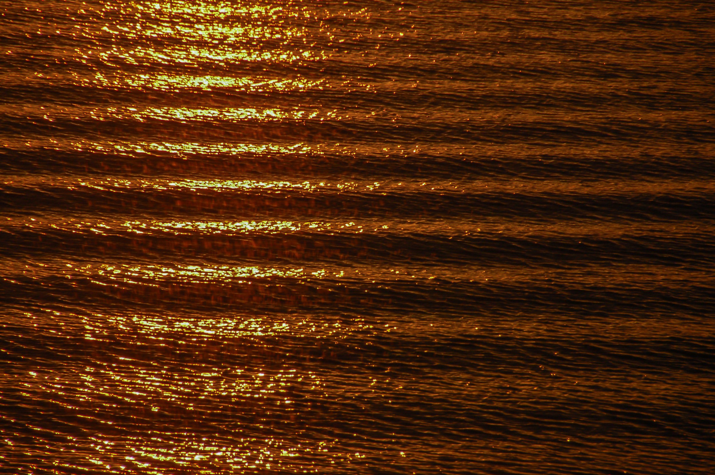 Golden Ripples (GH).jpg