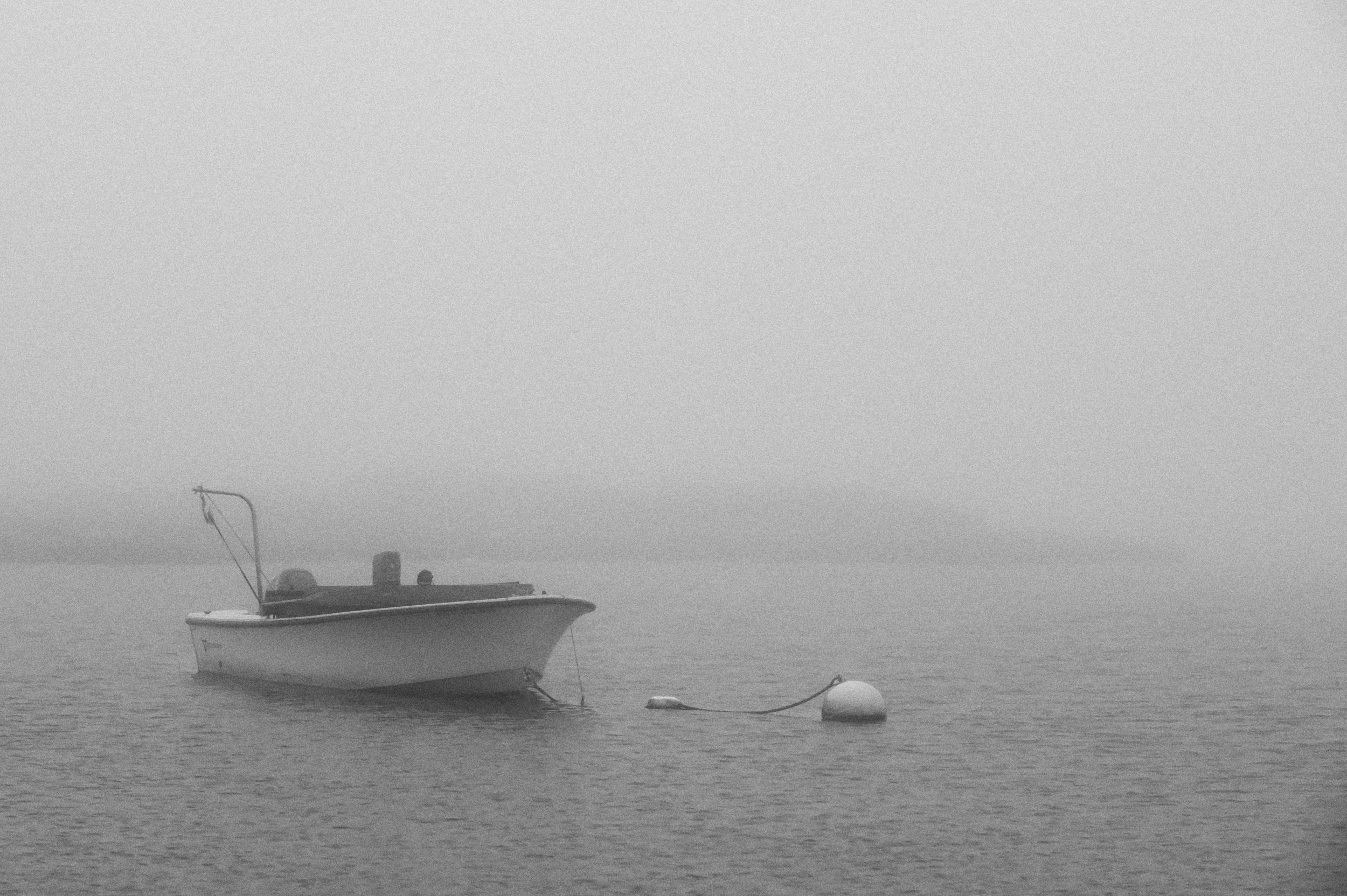 Scalloper in Fog (GH).jpg