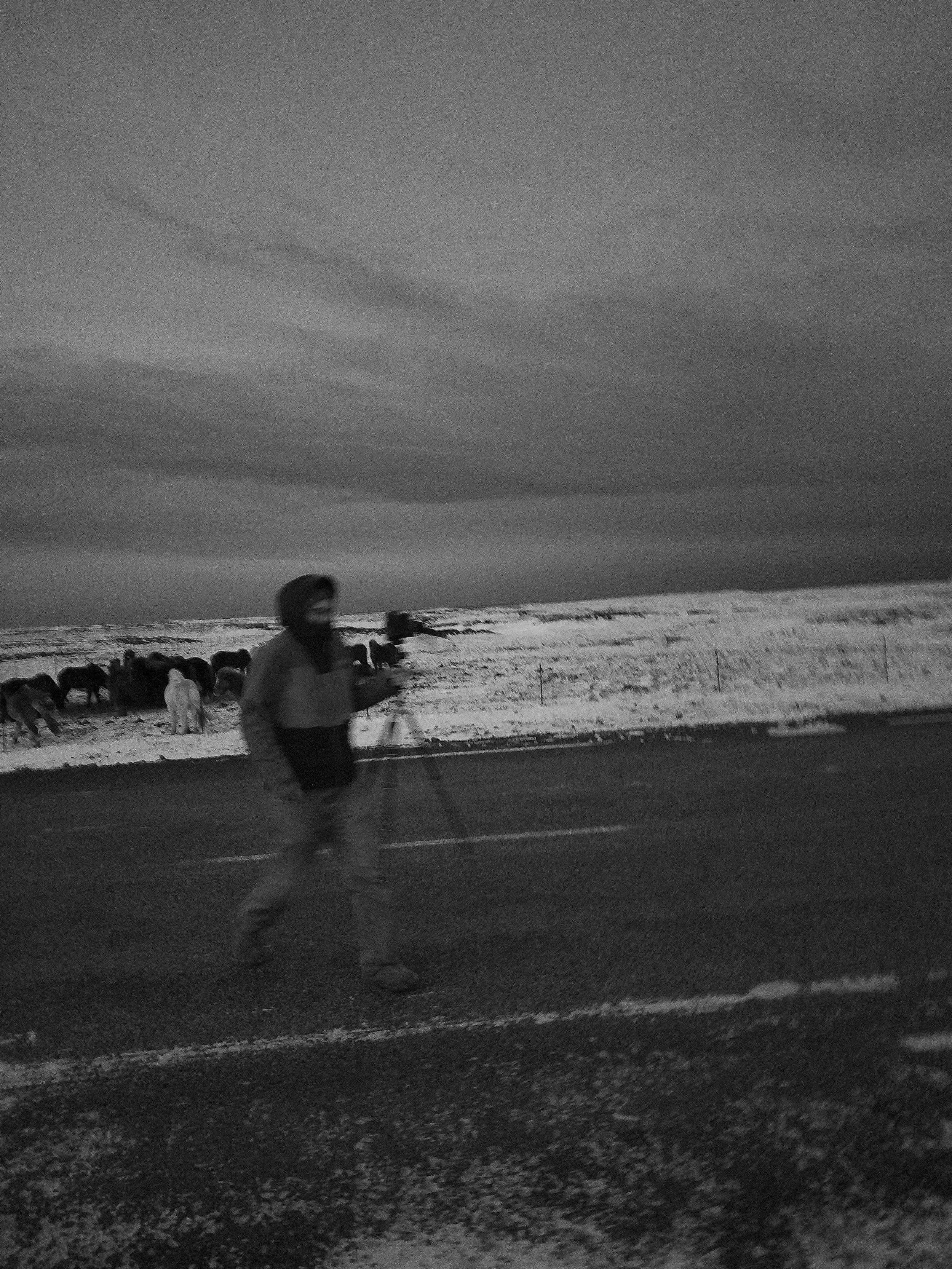 DSCF0991.jpg