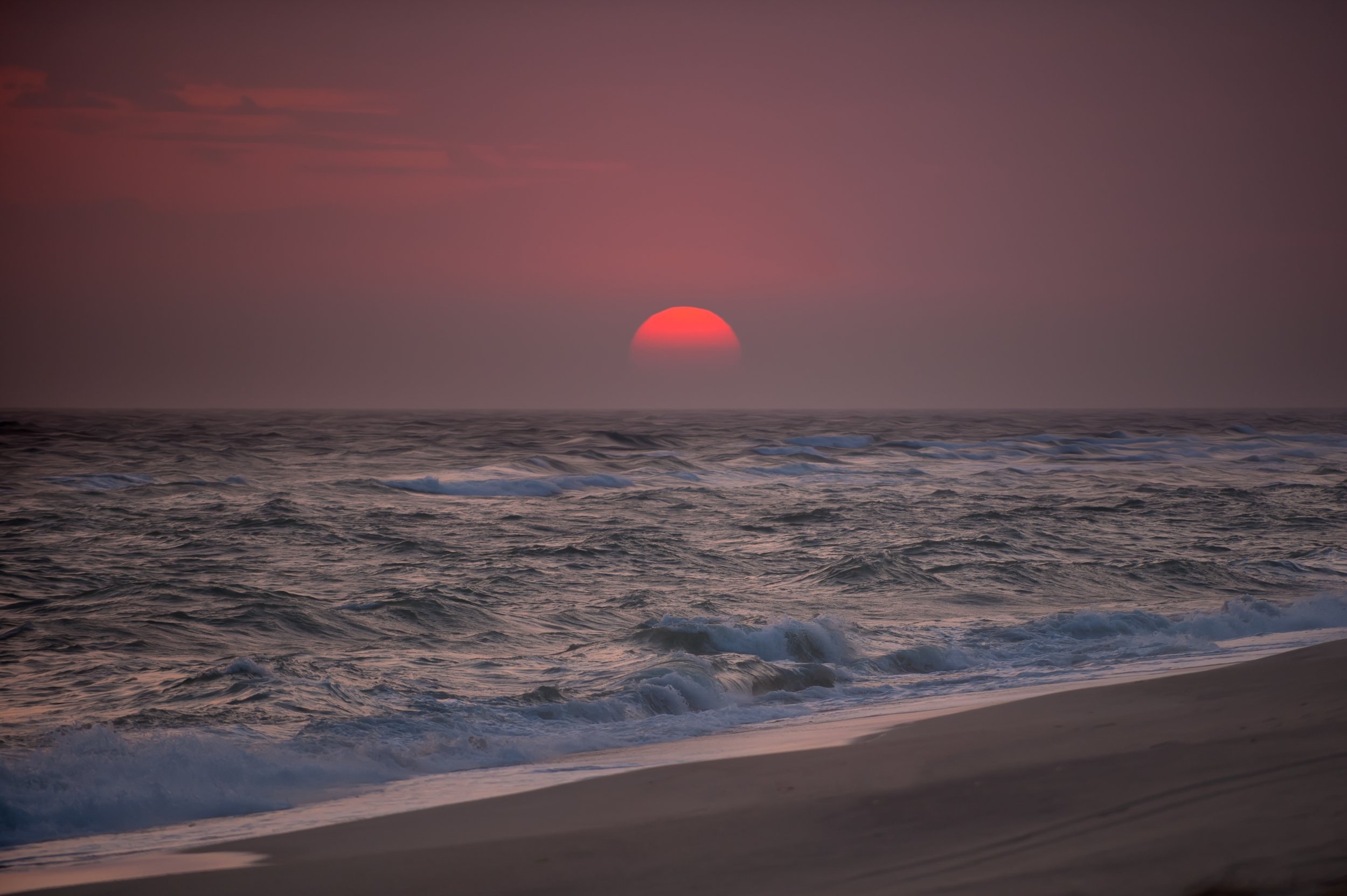 Nantucket Reds (GH).jpg