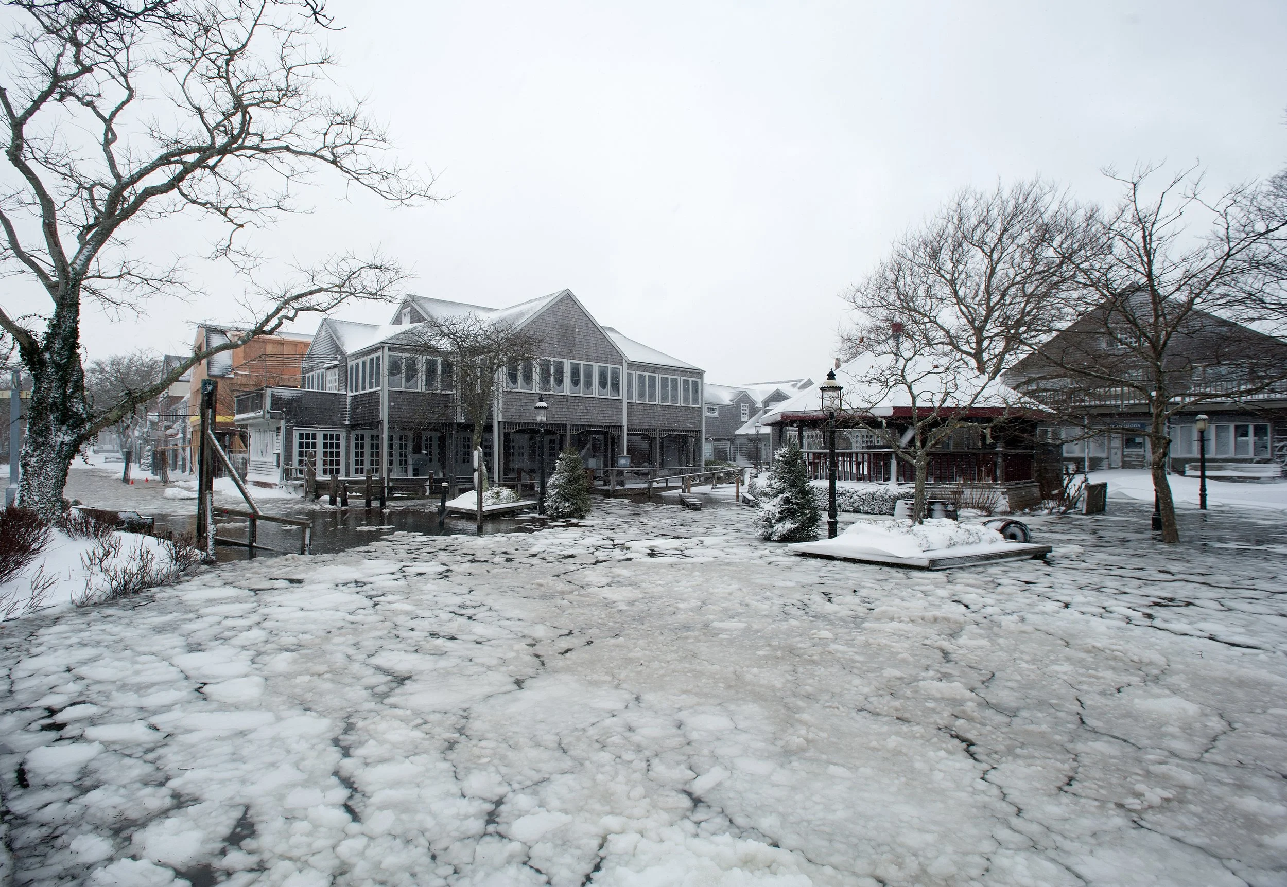 Winter-26-1.jpg