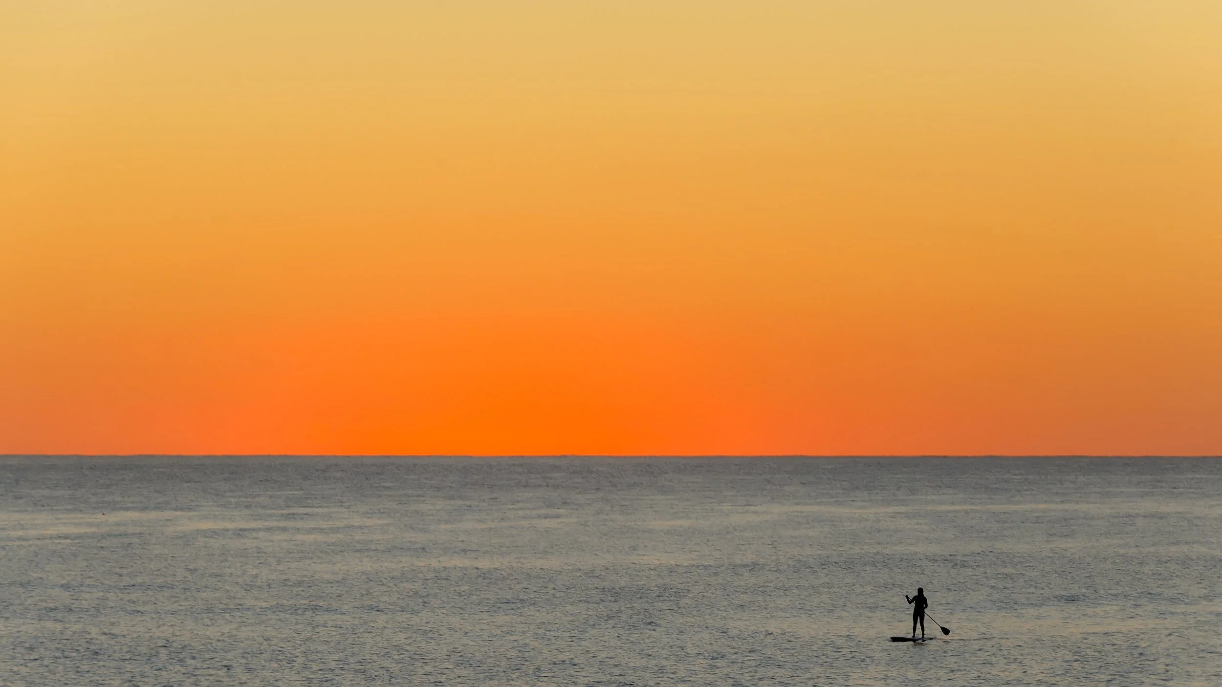 Paddleboarder (GH).jpg