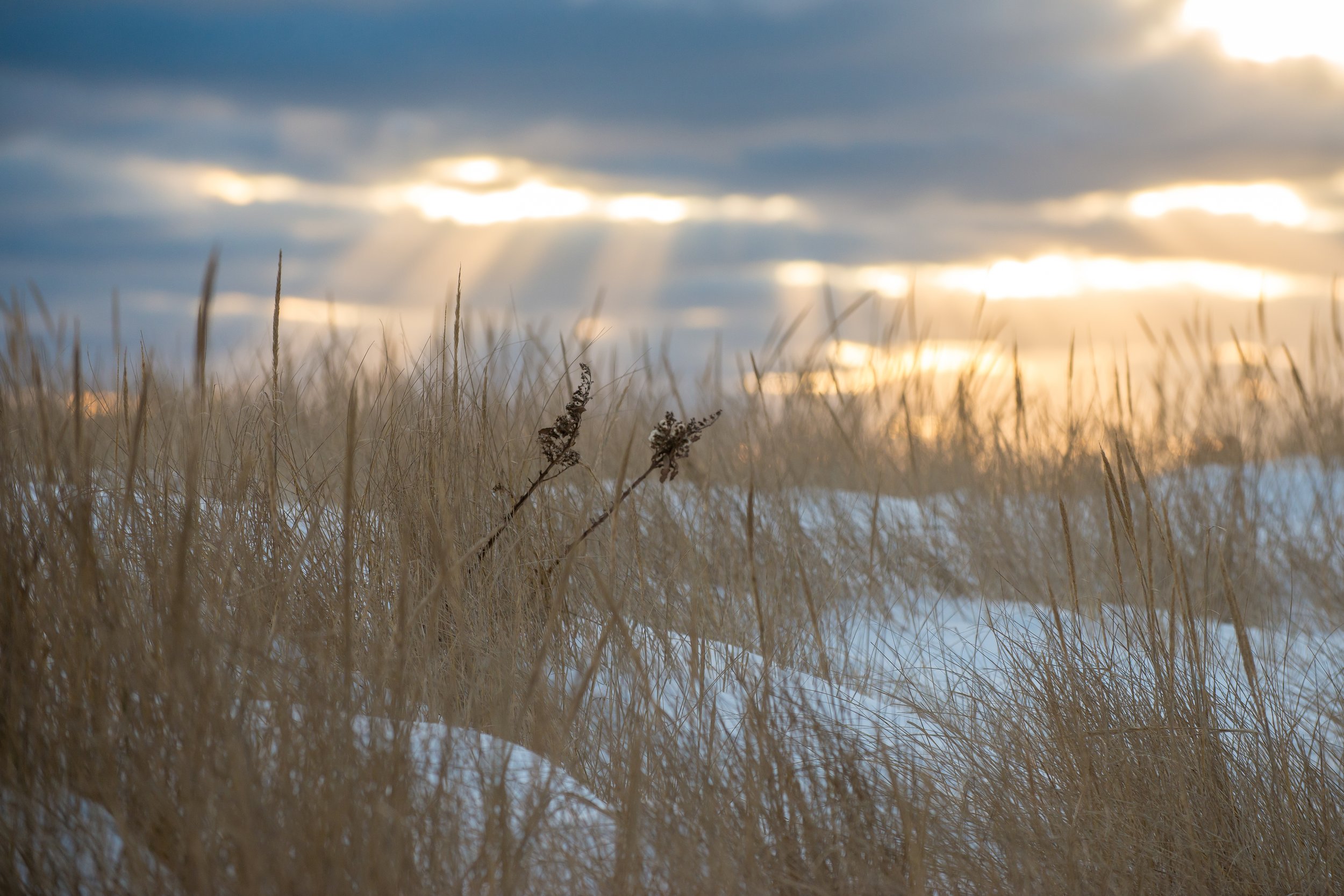 Winter Beach sunset (GH)-3.jpg