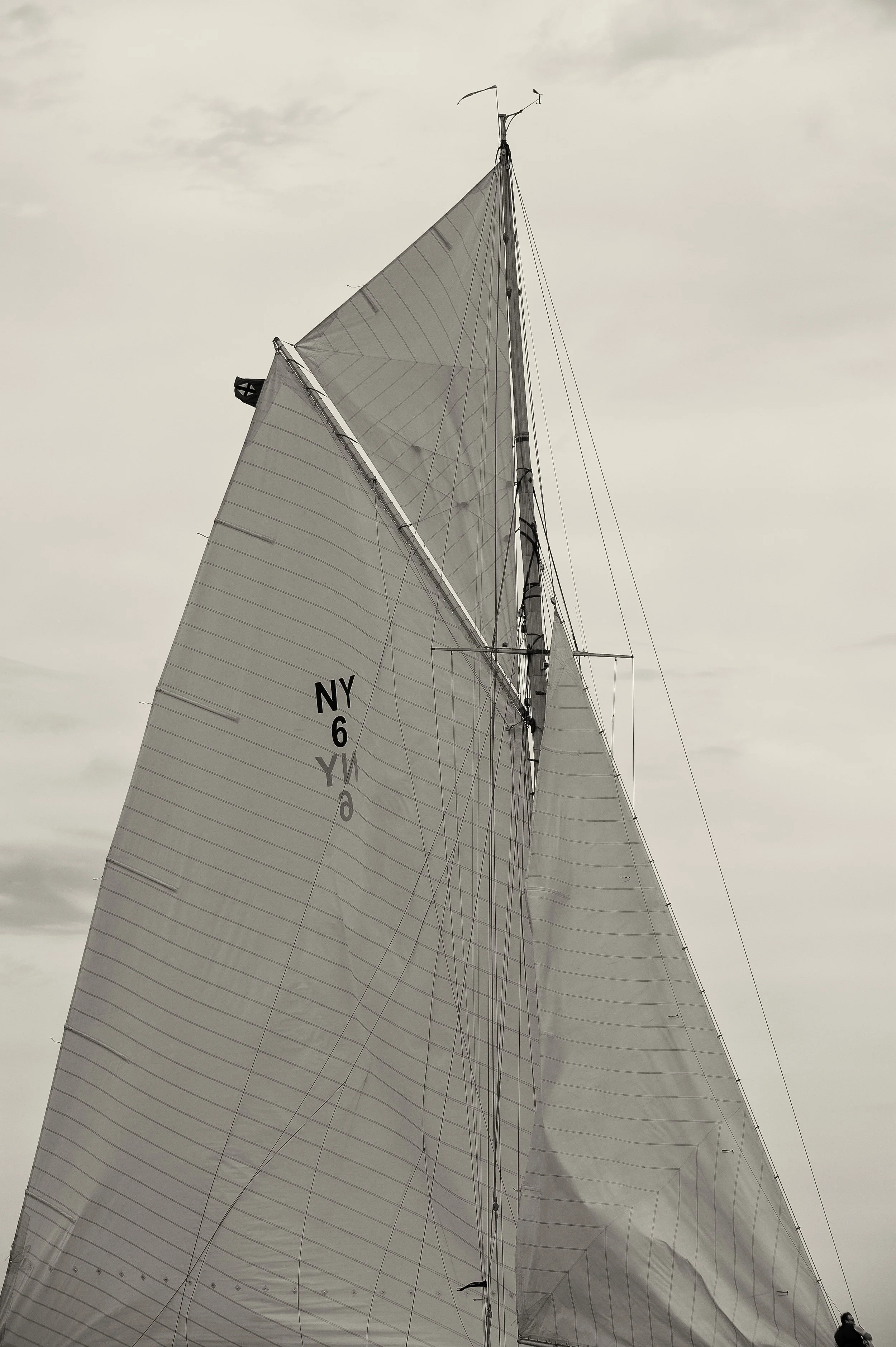 OHC 2014 (GH)-32.jpg
