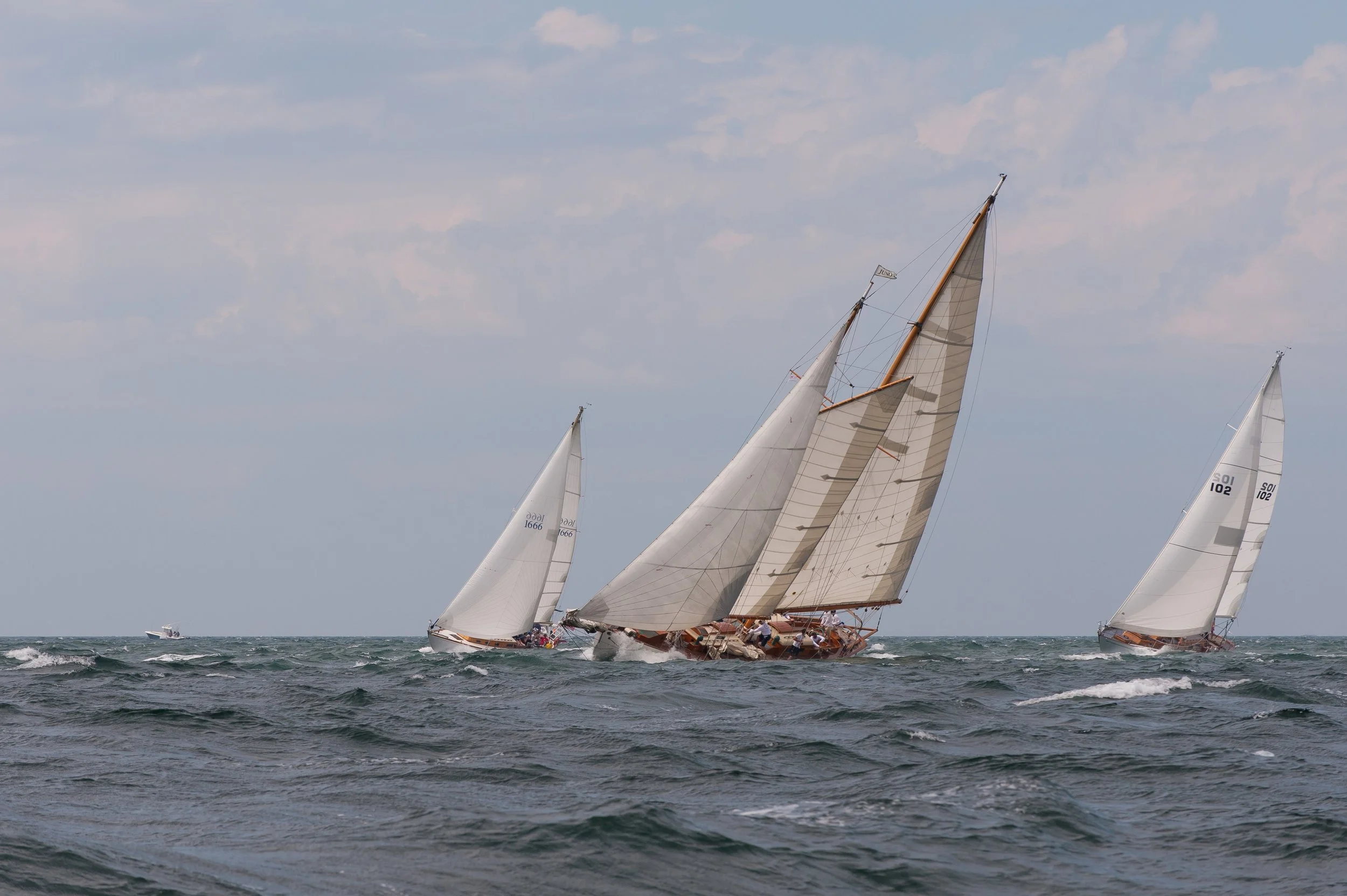 OHC 2014 (GH)-10.jpg