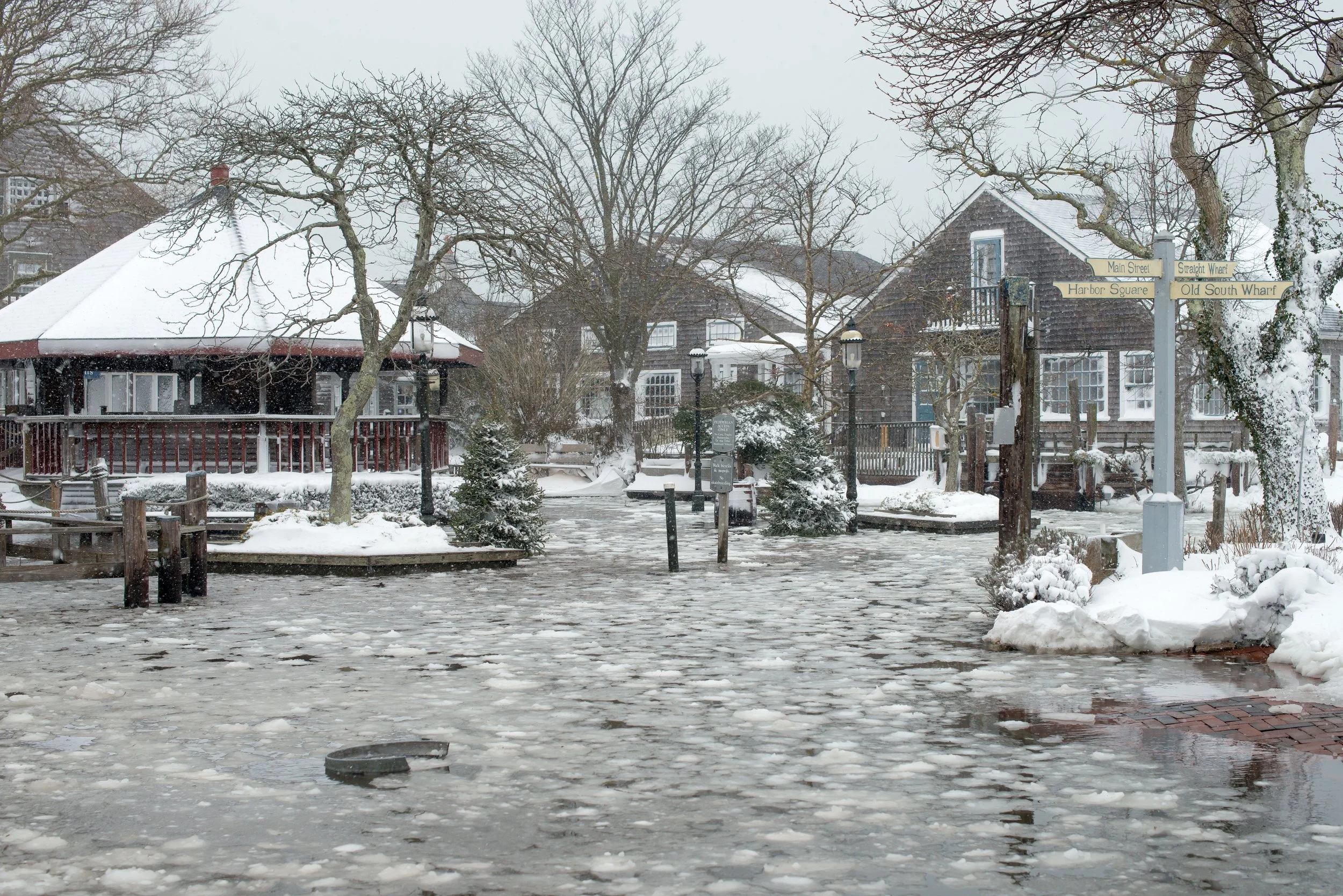 Winter Flooding (GH)-3.jpg