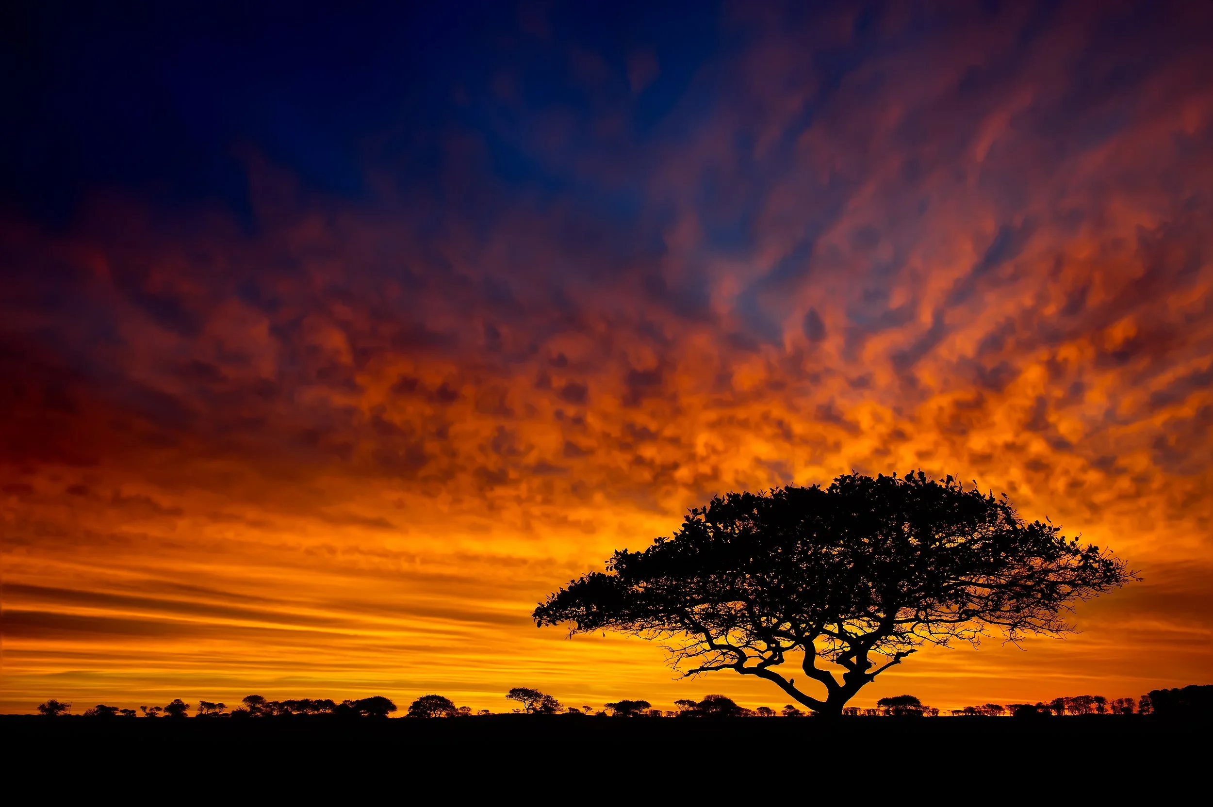Serengeti Sunrise (GH).jpg
