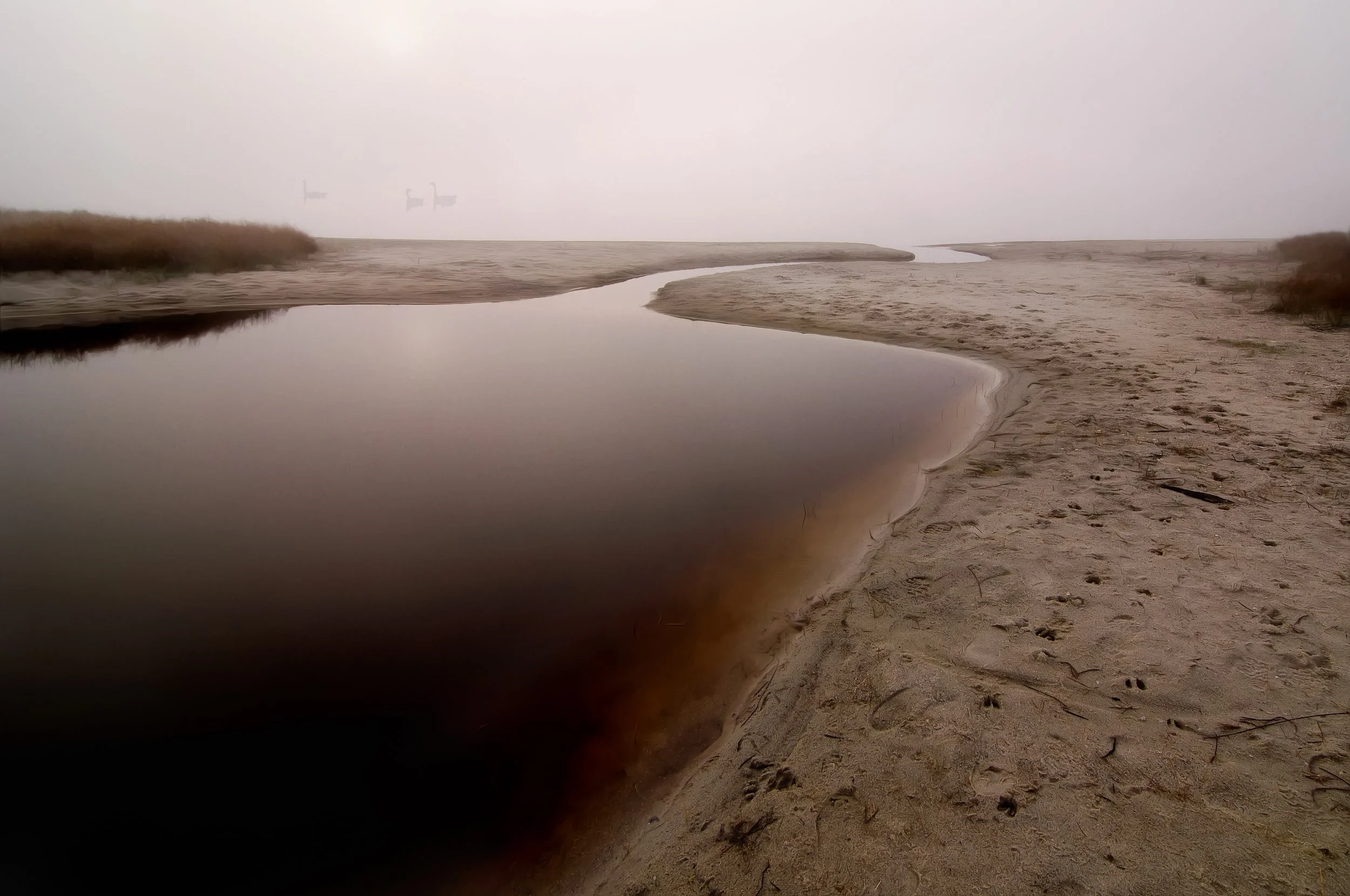 Sesachacha Fog (GH)-3.jpg