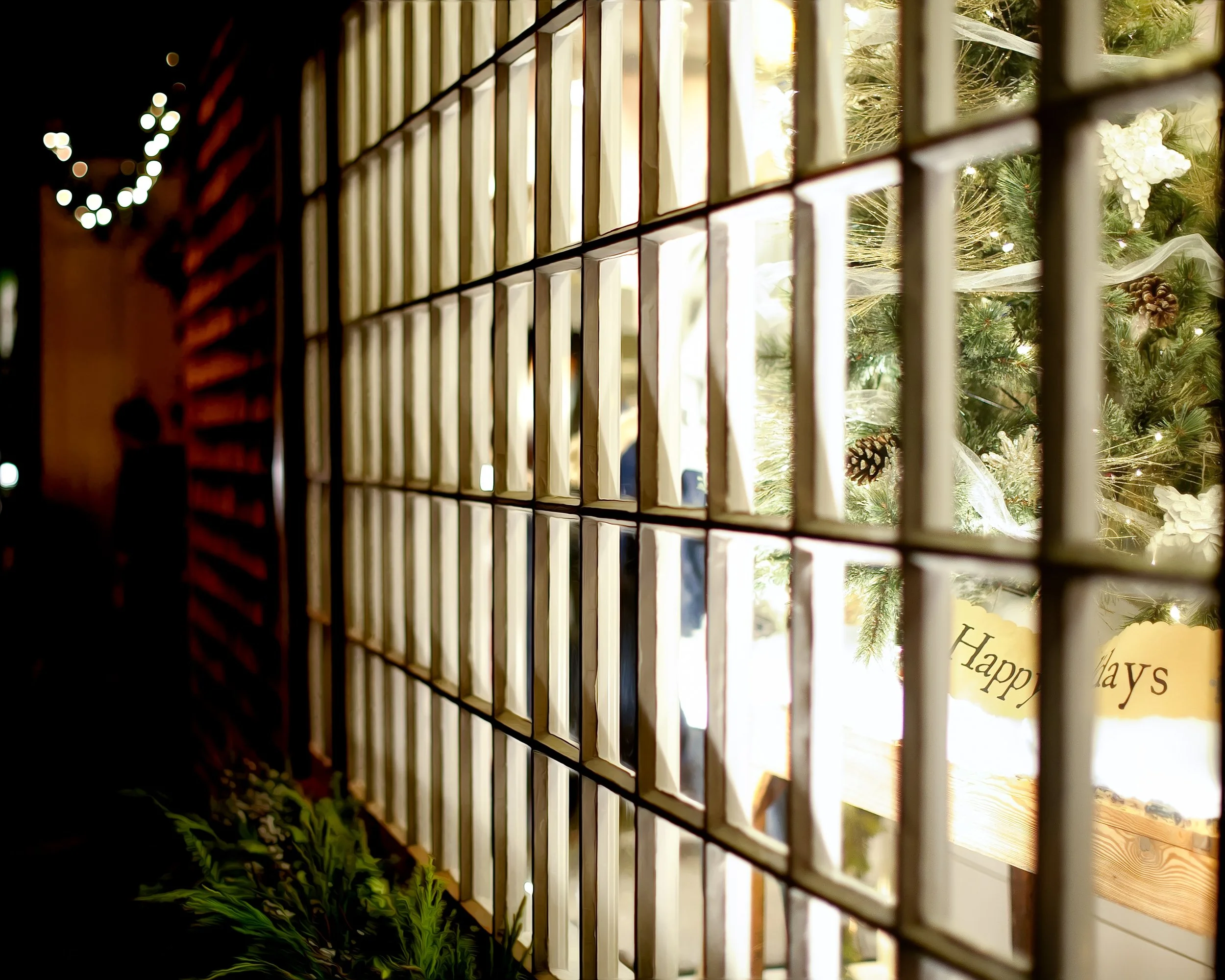 Store Window (GH).jpg
