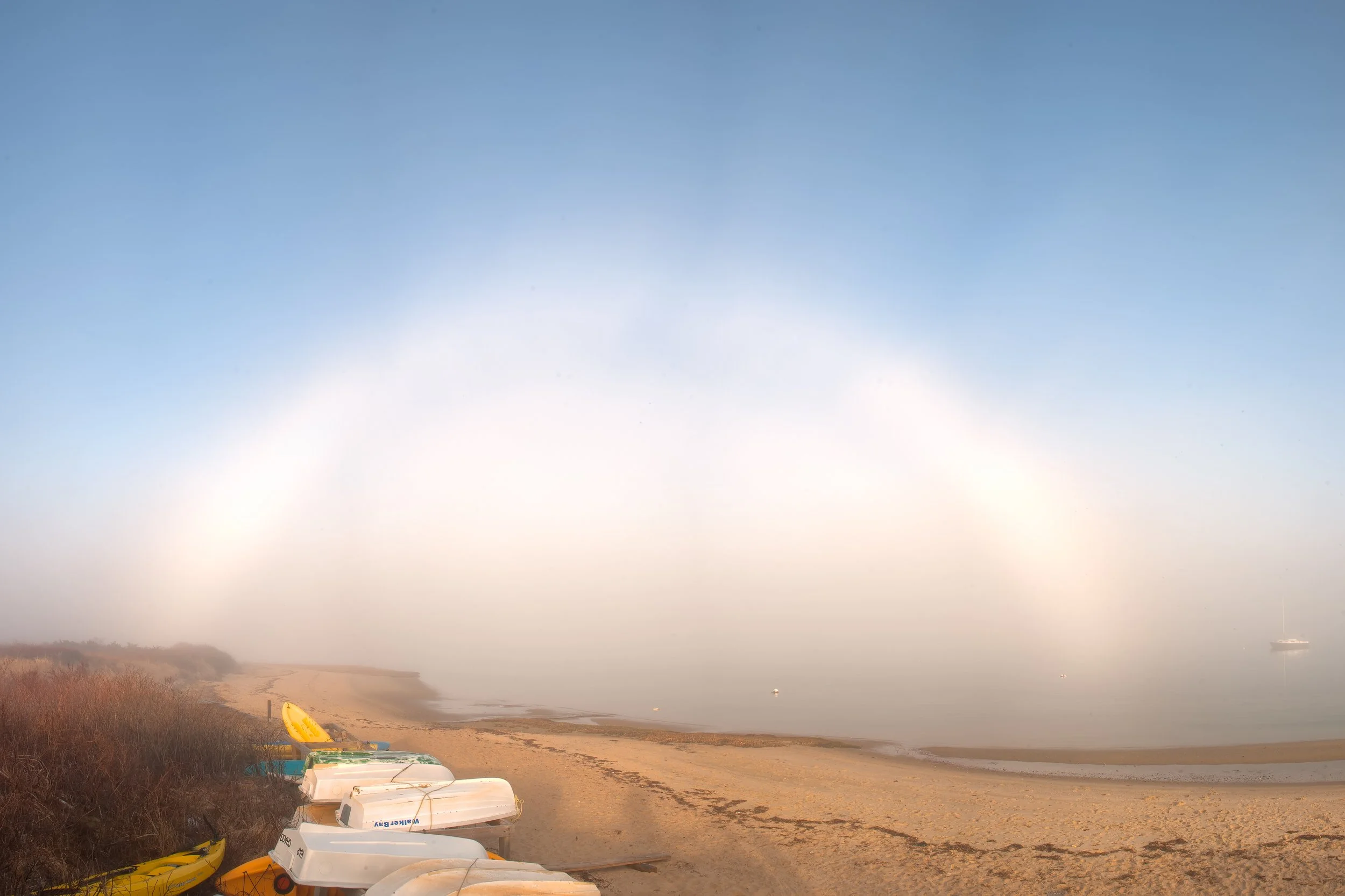 Harbor Fogbow (GH)-1.jpg