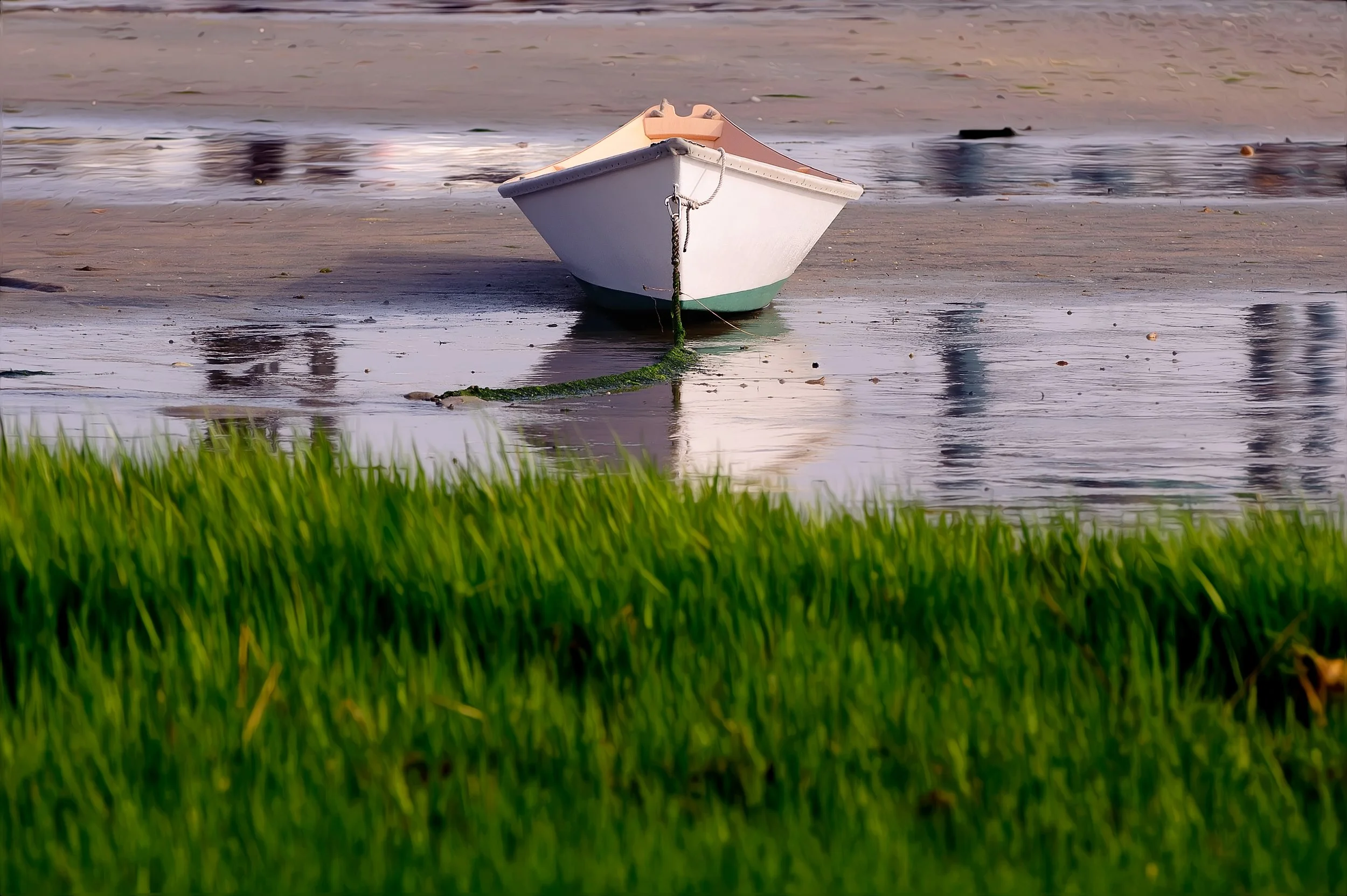Low Tide (GP).jpg