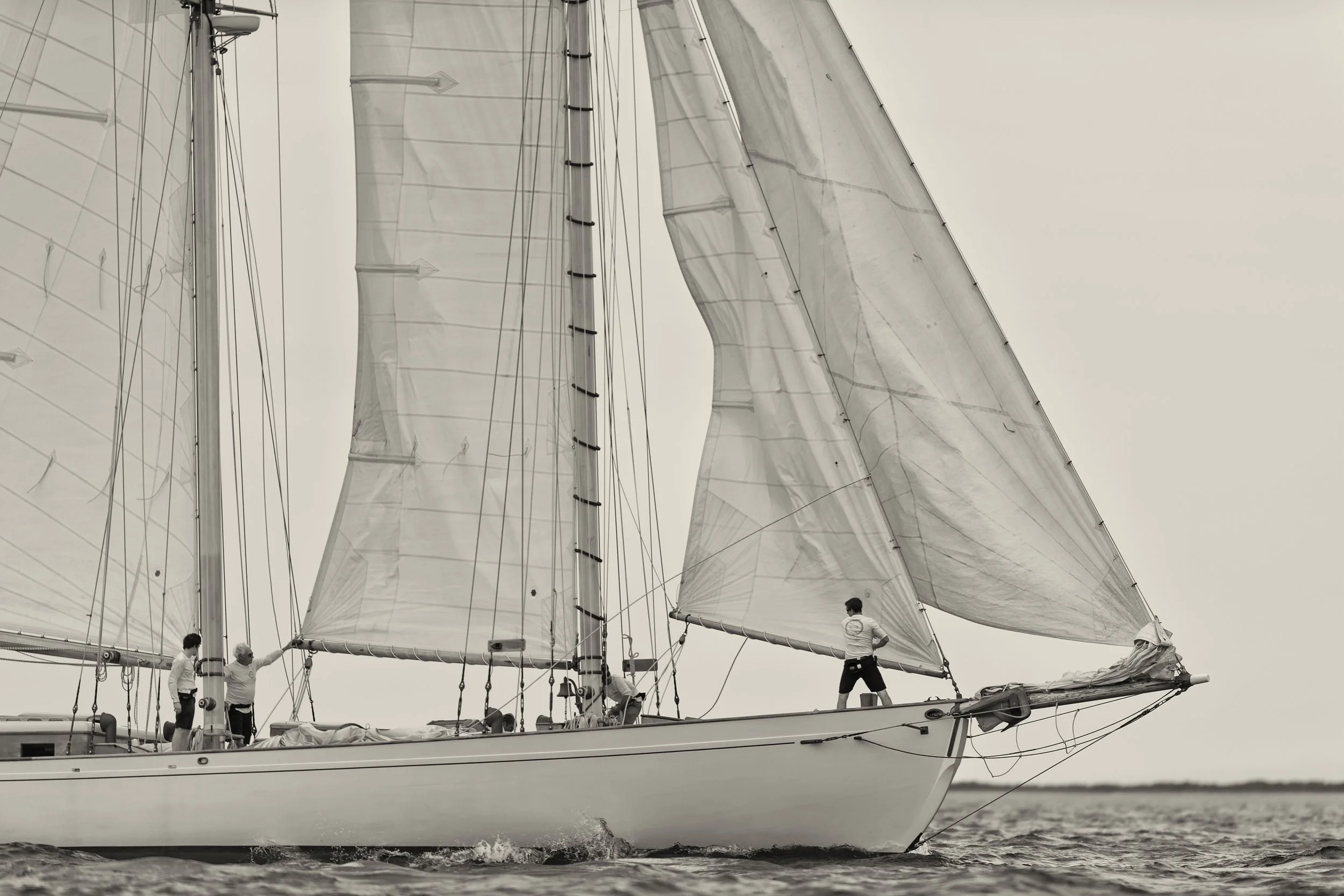 OHC 2014 (GH)-25.jpg