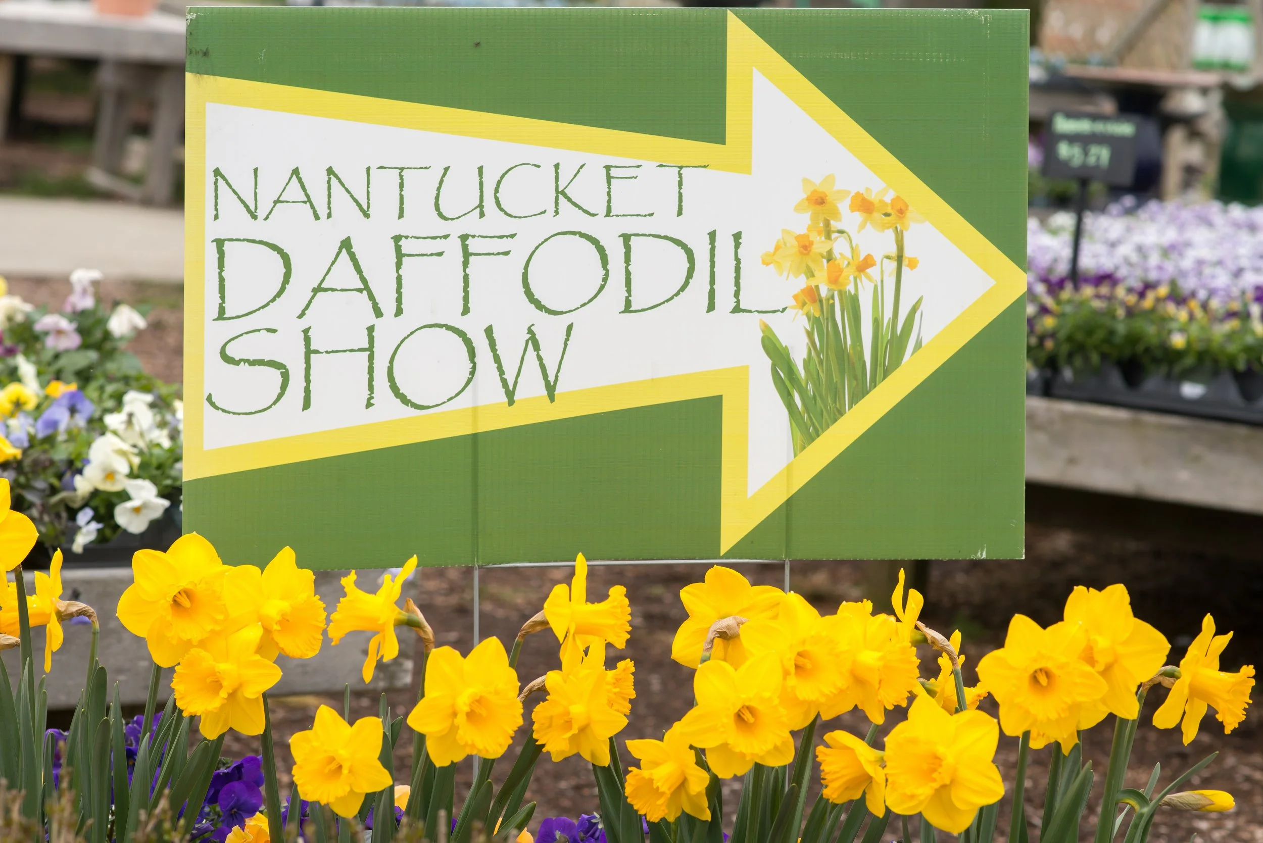 Daffodil Show (GH)-4.jpg