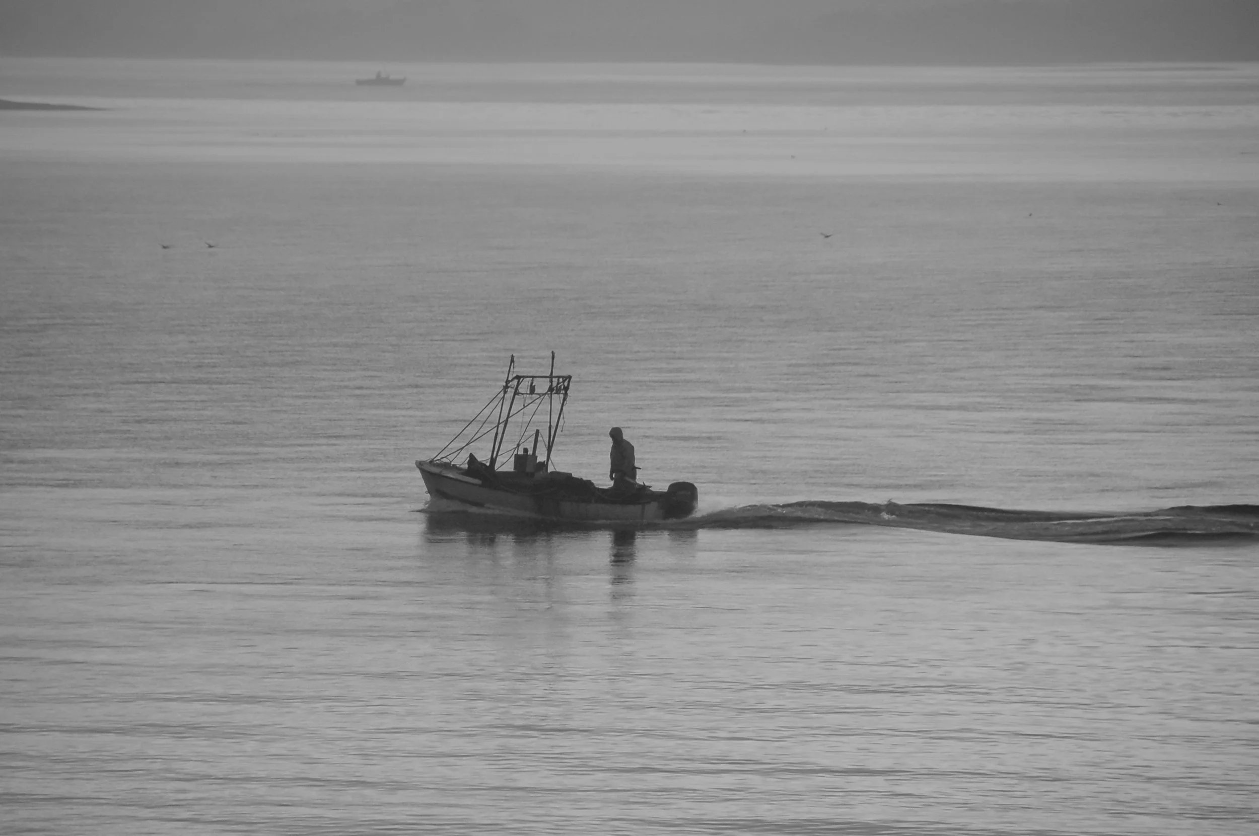 Scalloper (GH)-1.jpg