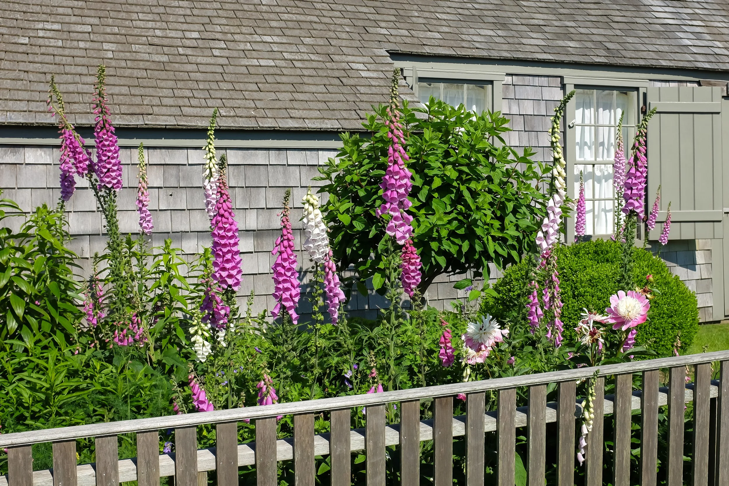 Sconset Garden (GH).jpg