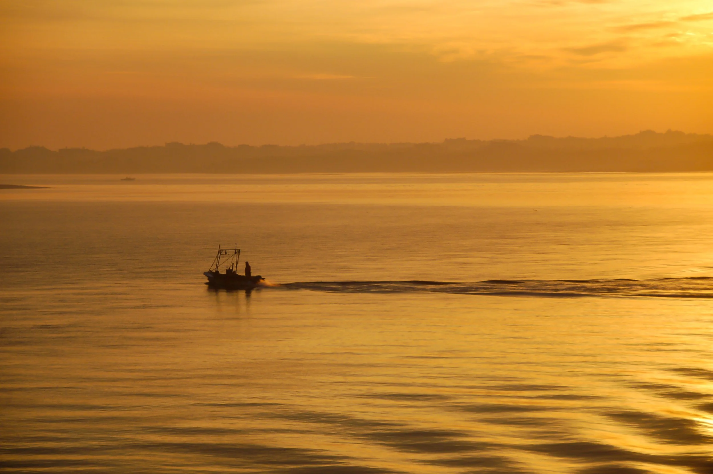 Scalloper (GH).jpg
