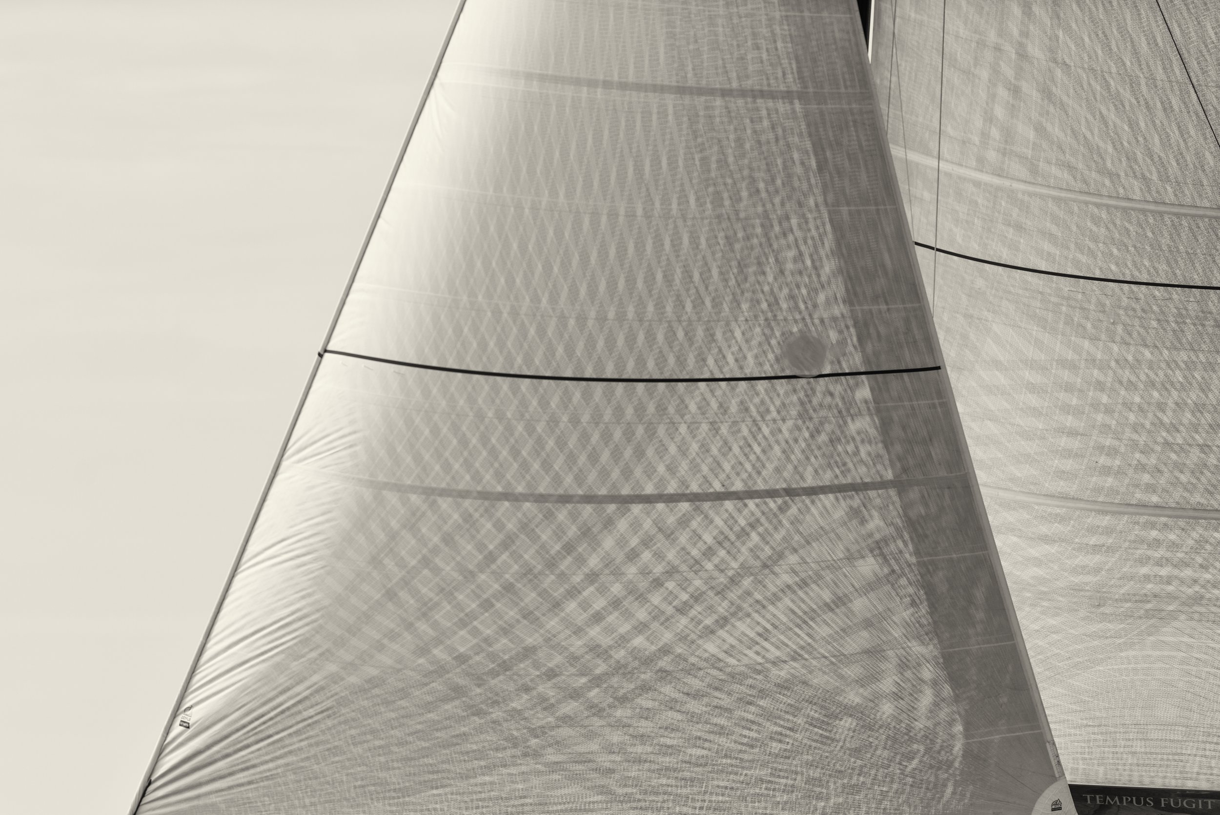 OHC 2014 (GH)-5.jpg