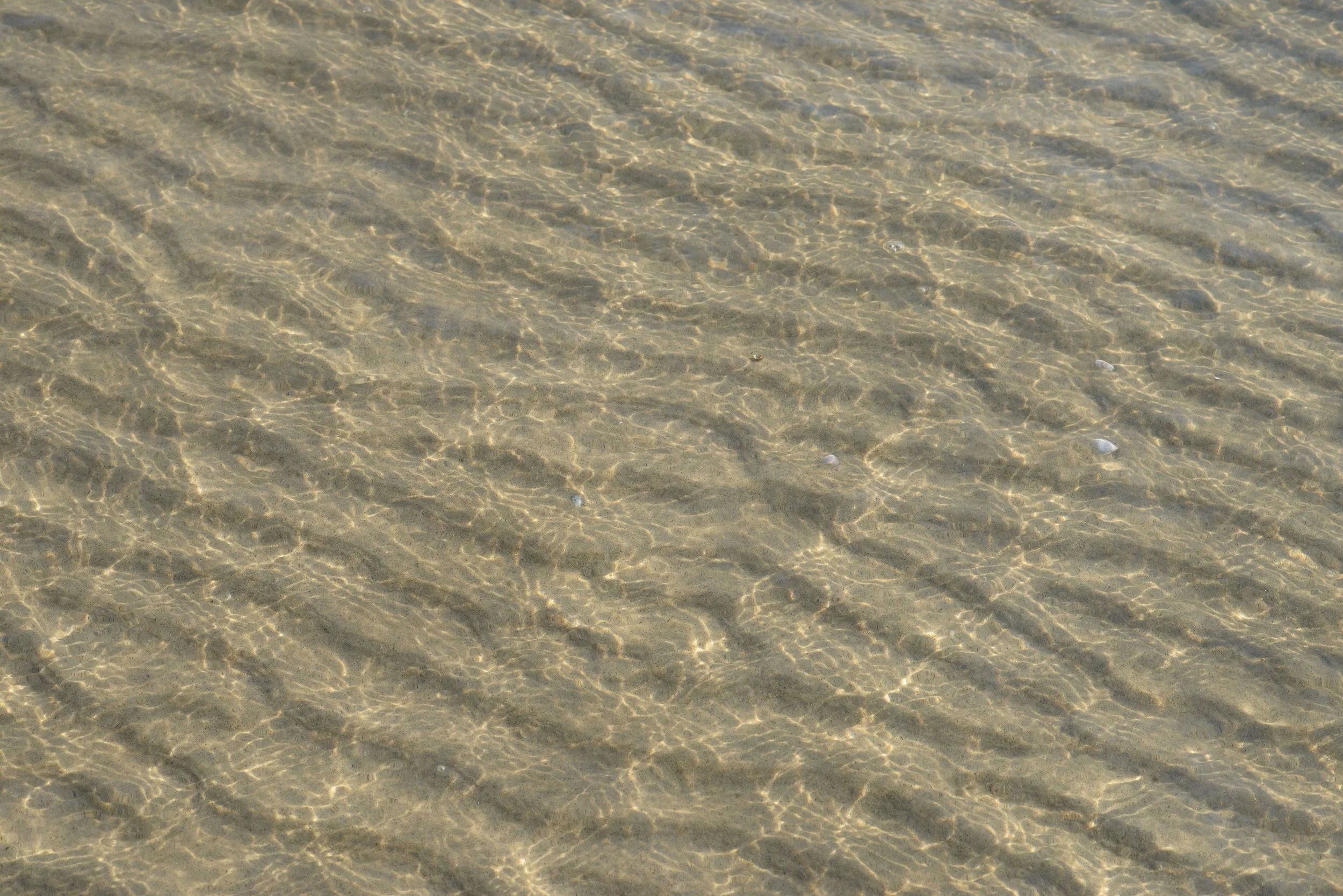 Low Tide 1 (GH).jpg