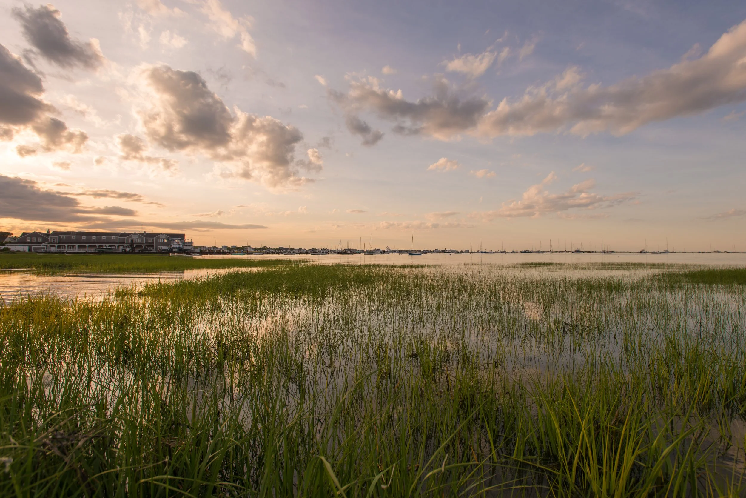 Creeks Grass and Great Harbor (GH).jpg