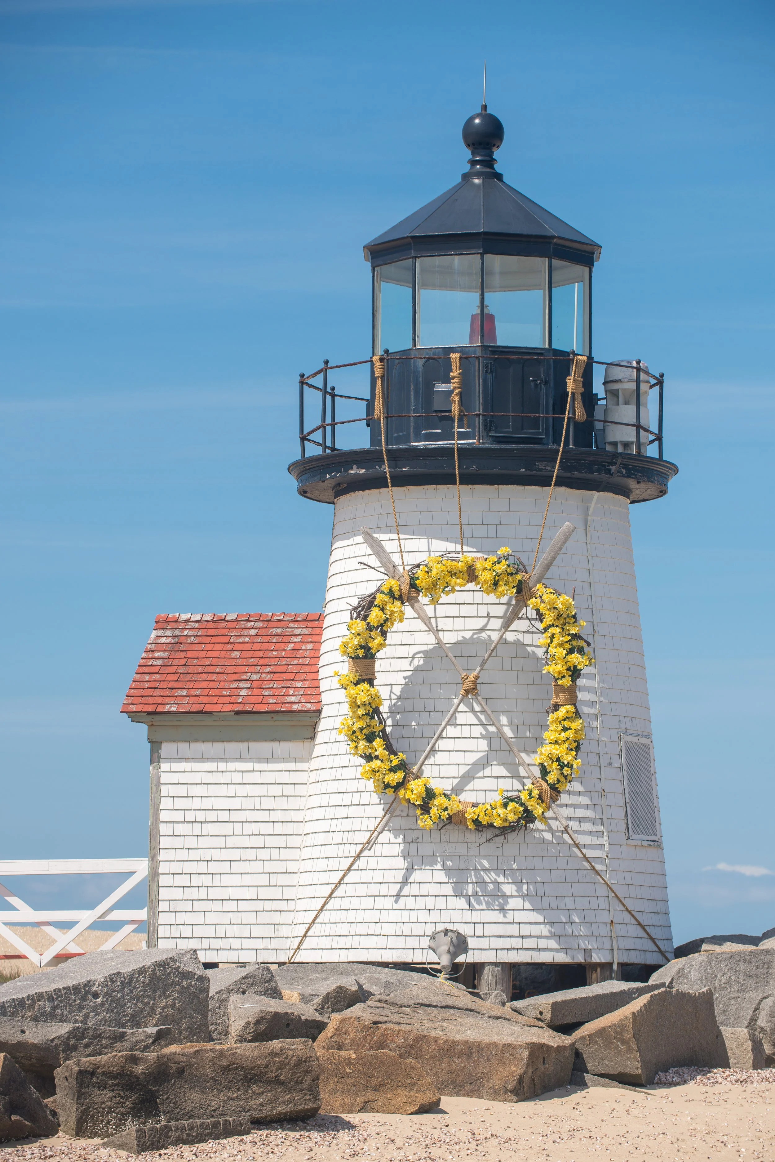 Brant Point Daffodil Days (GH)-3.jpg