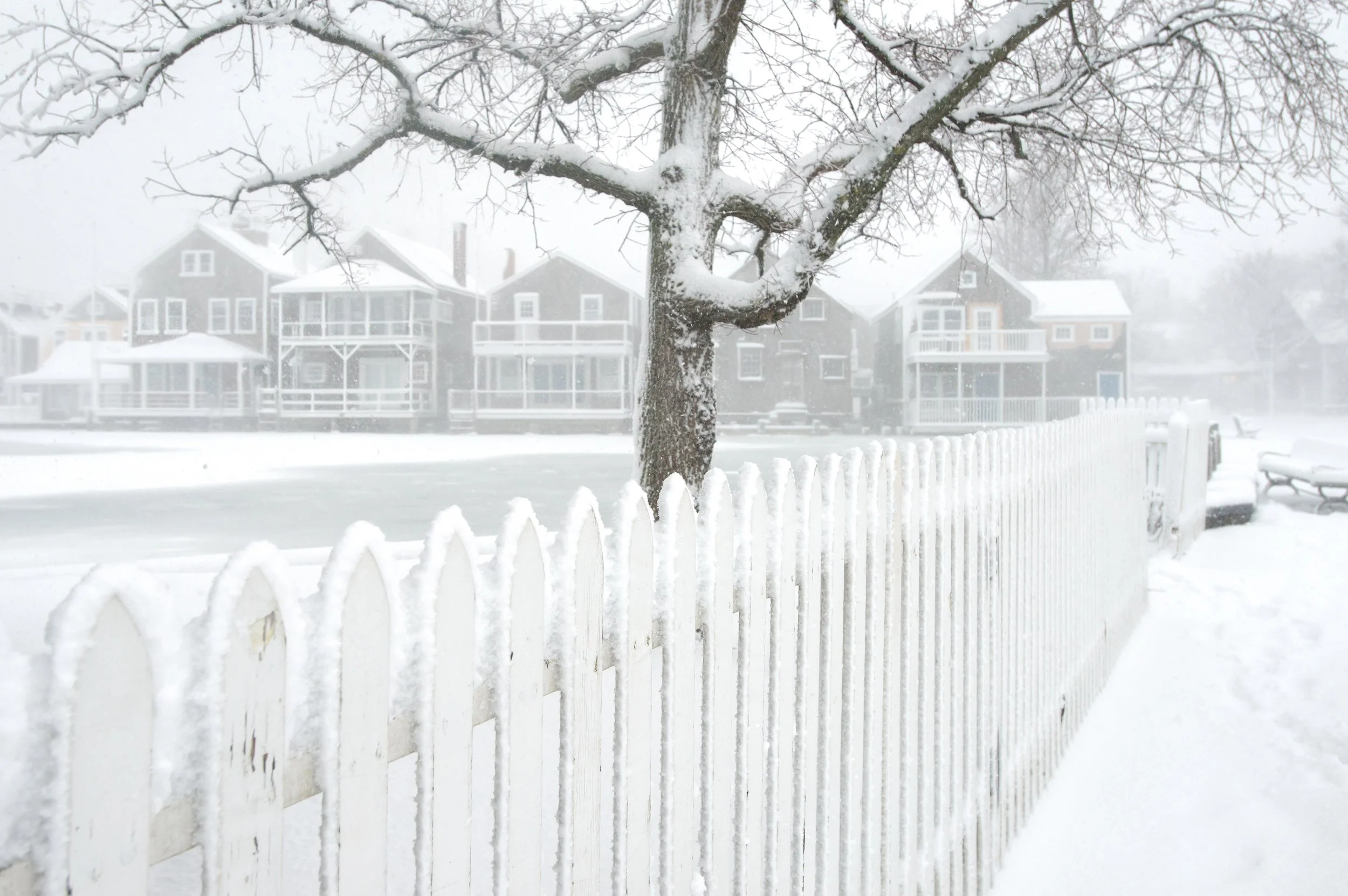 Winter Waterfront (GH)-4.jpg