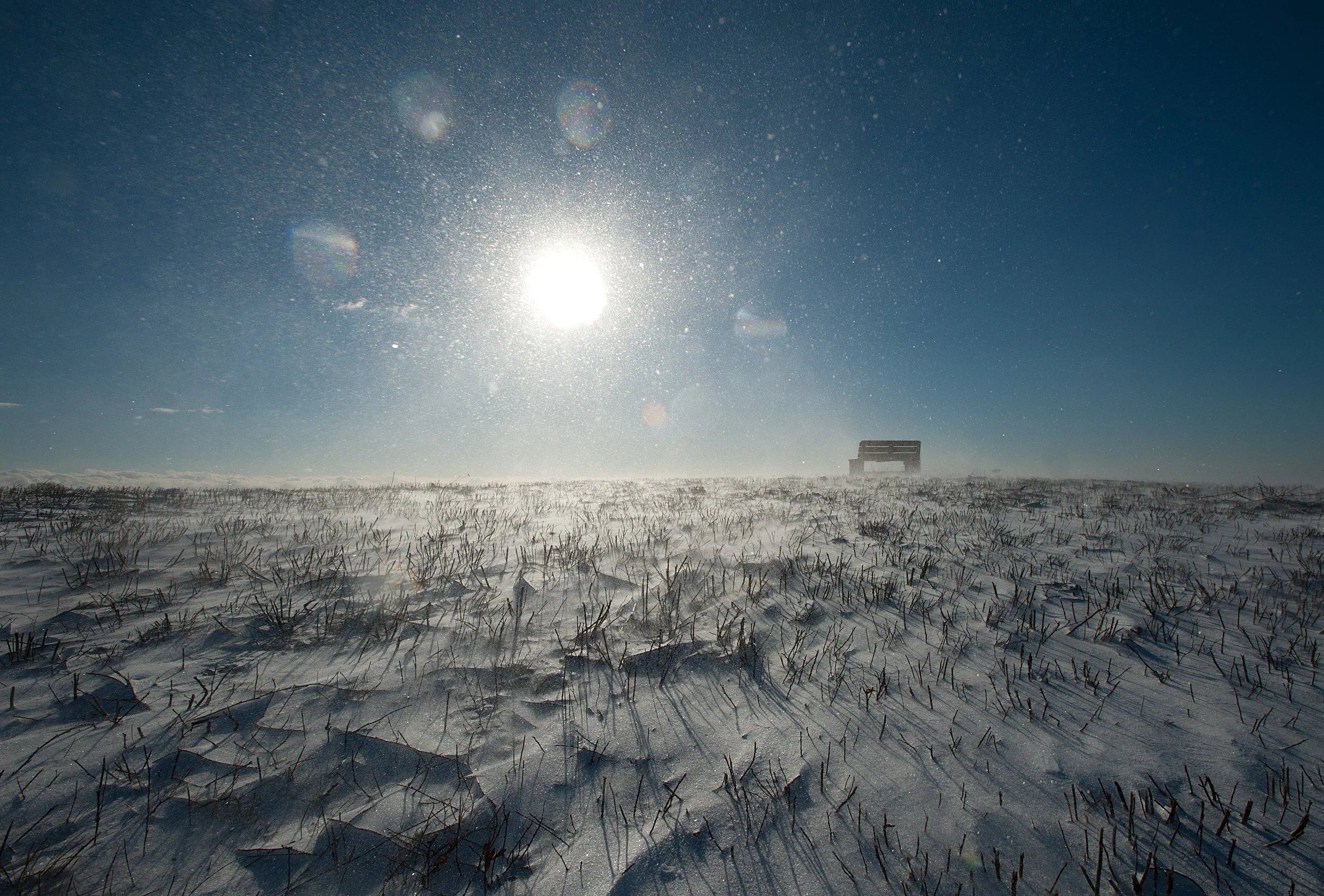 Winter-35.jpg