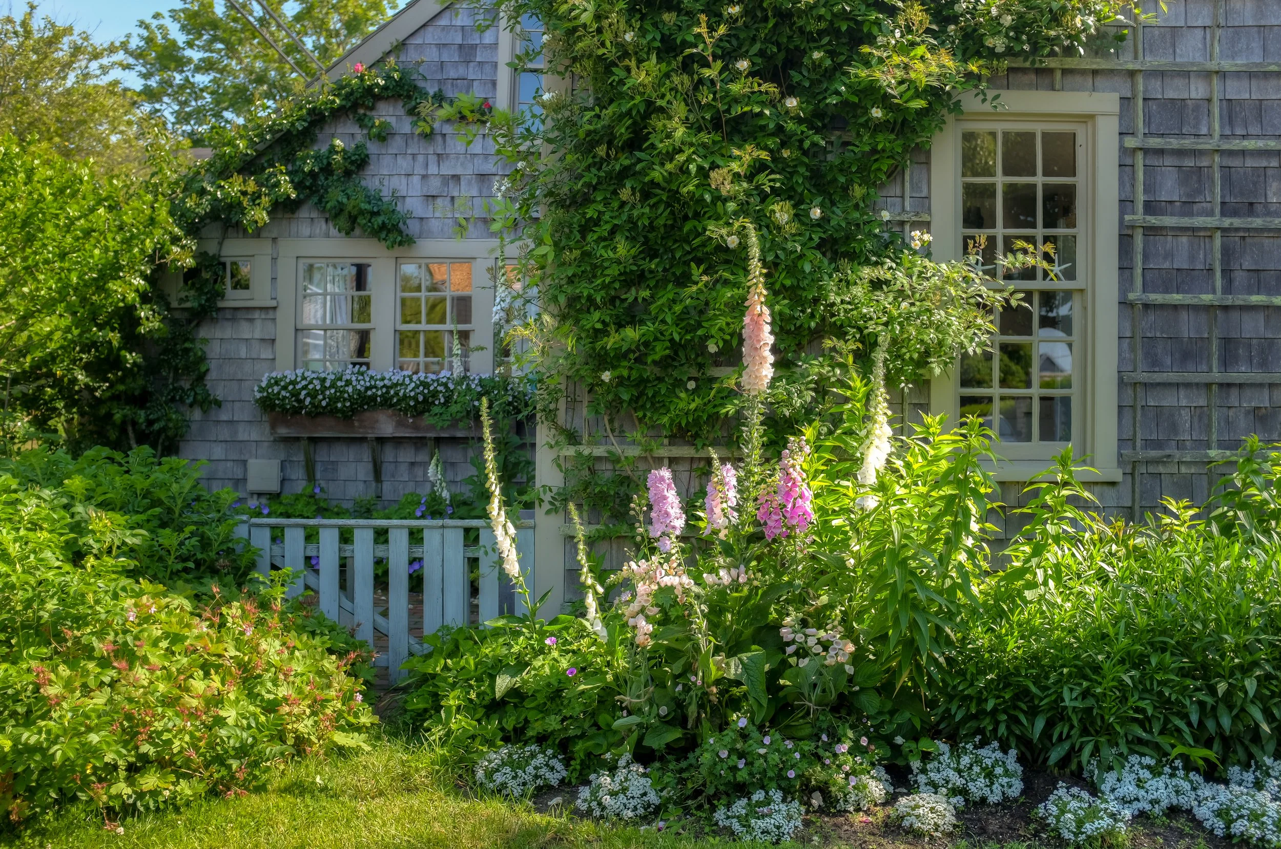 Sconset Garden (GH)-1.jpg