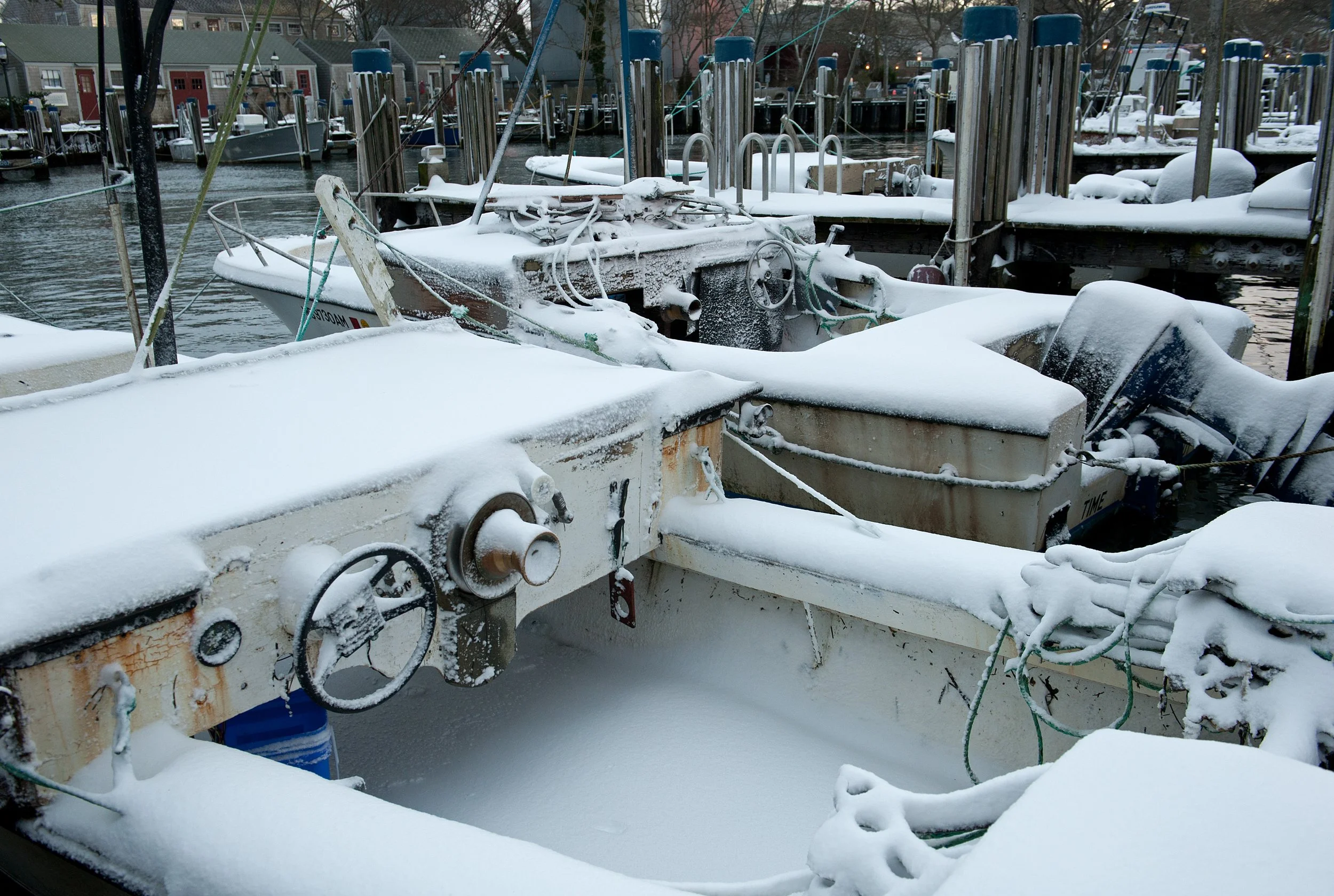 Winter-21.jpg
