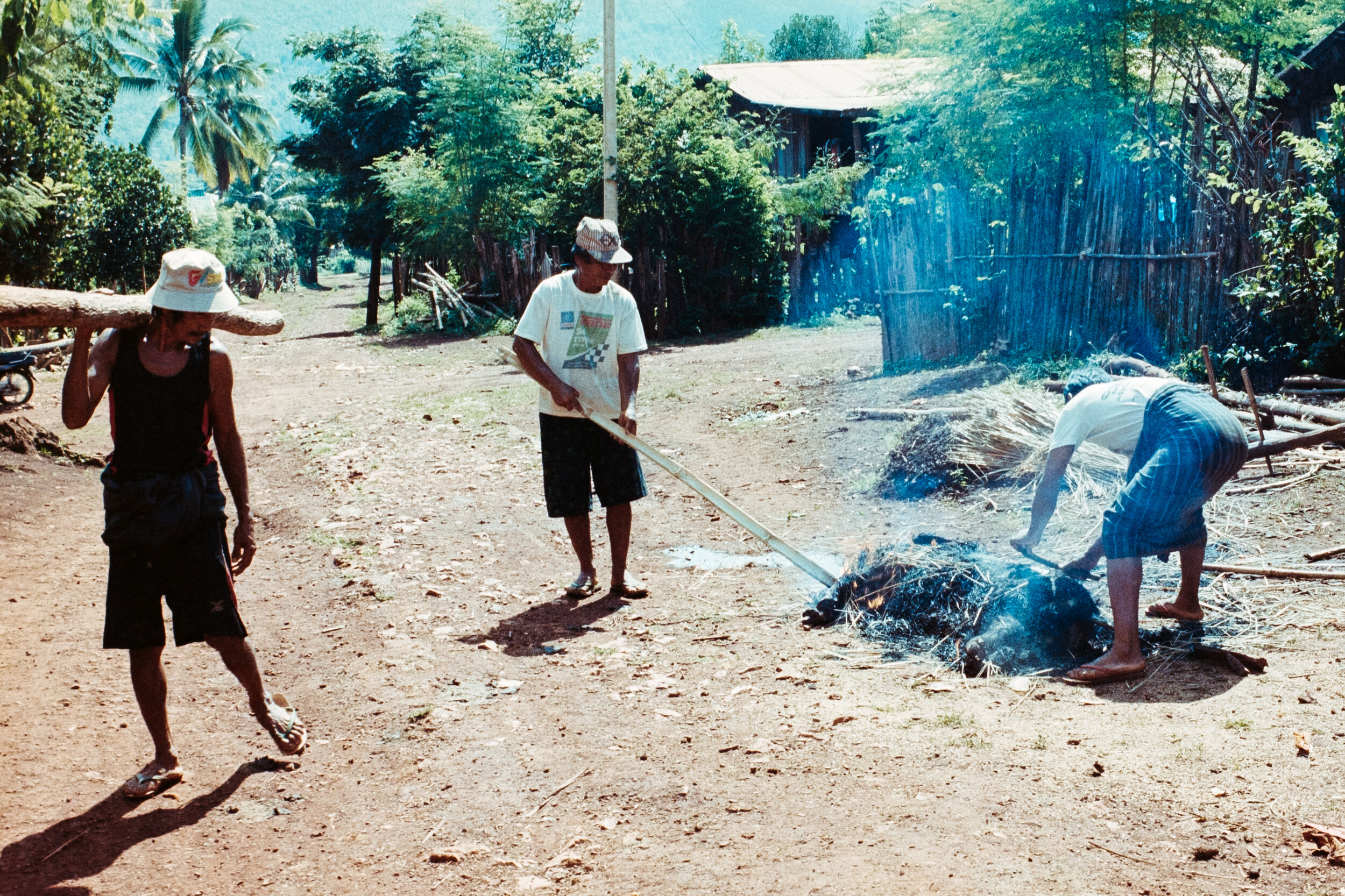  A pig that has roasted for hours… Ready to be cleaned and shared among each other… 