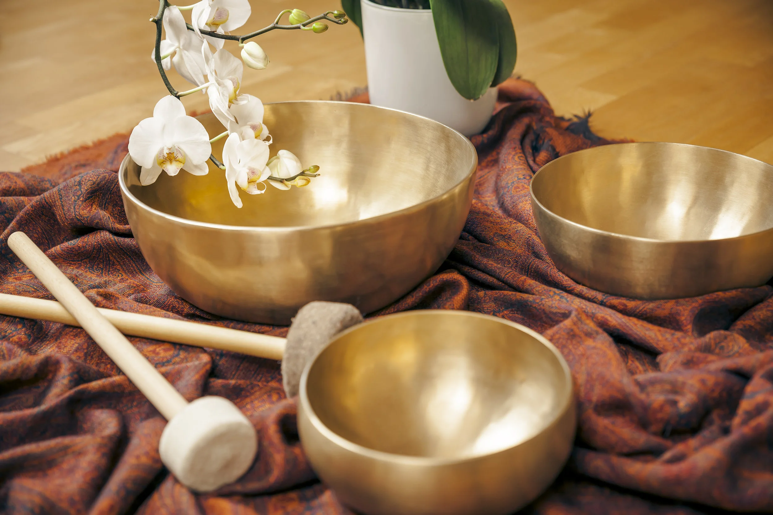 In-Home Singing Bowl Session: 90-Minute
