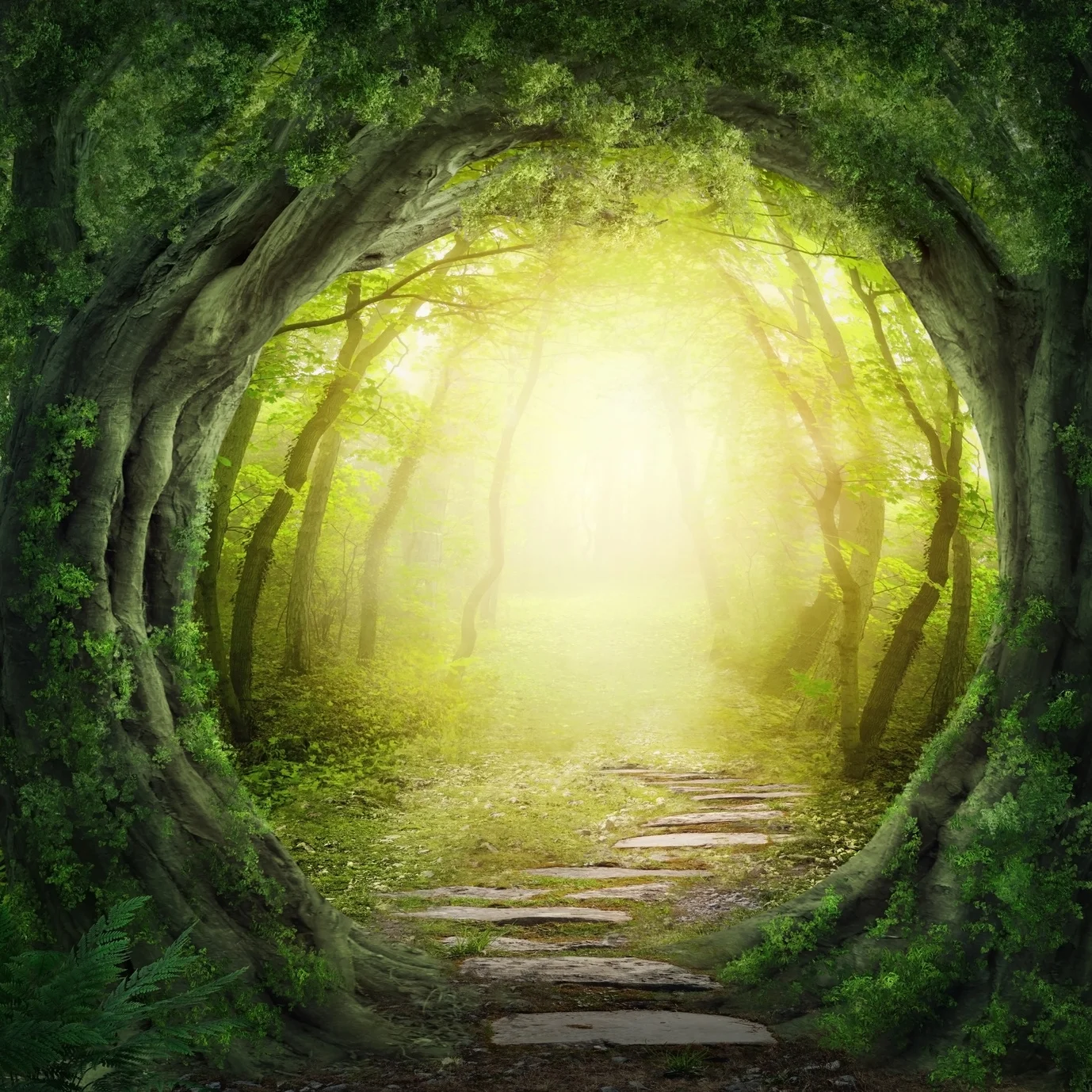 door_open_forest.jpg