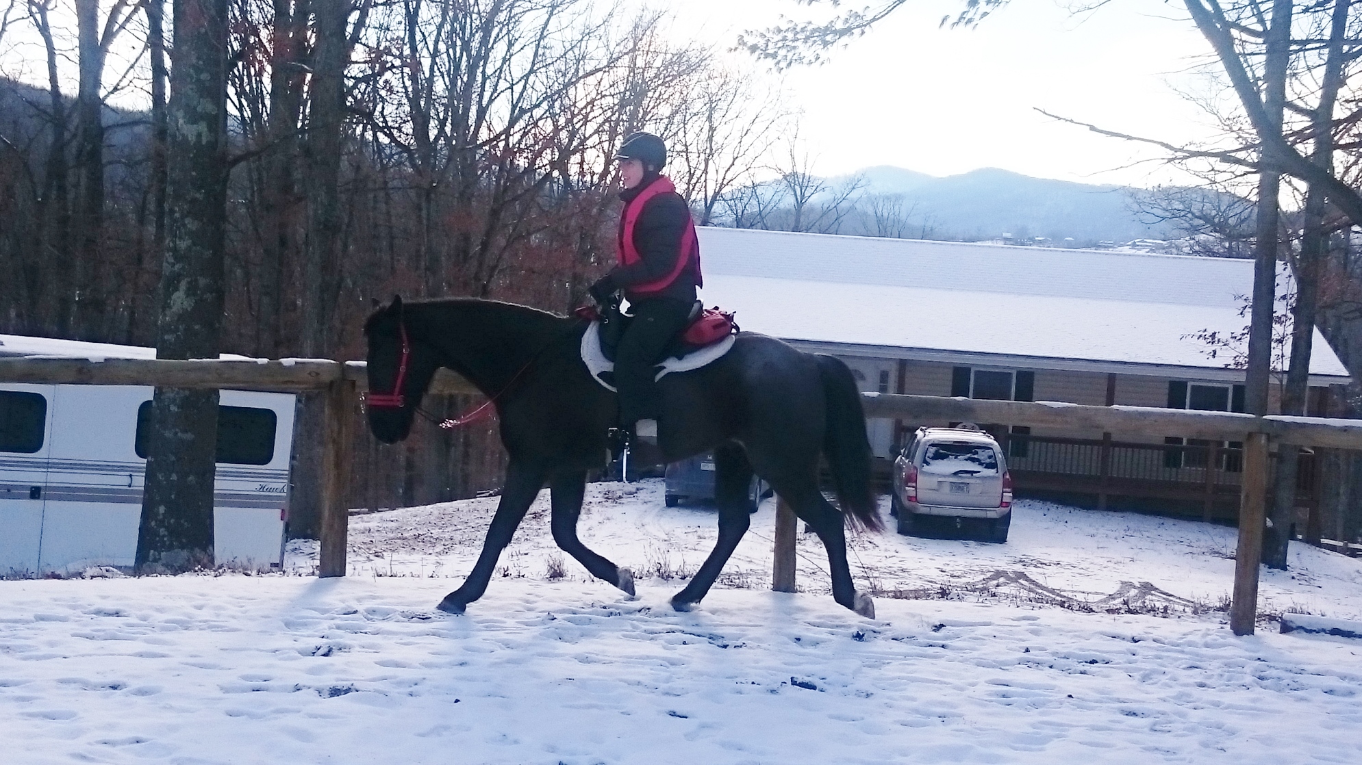  Sherry and Sunny - relaxed and balanced in trot  