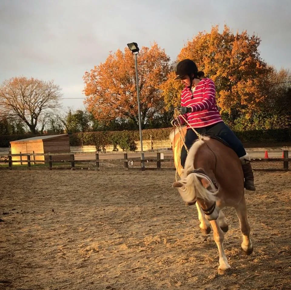  ...some days weren't so easy! Bucking was caused by an ill fitting saddle and undeveloped muscles. Our training includes tack assessments and is ultimately a form of horse/rider biomechanics and straightness training to strengthen and balance your horse, increasing suppleness and full range of movement. 
