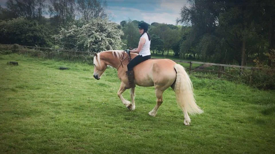  Bridle-less riding is a 