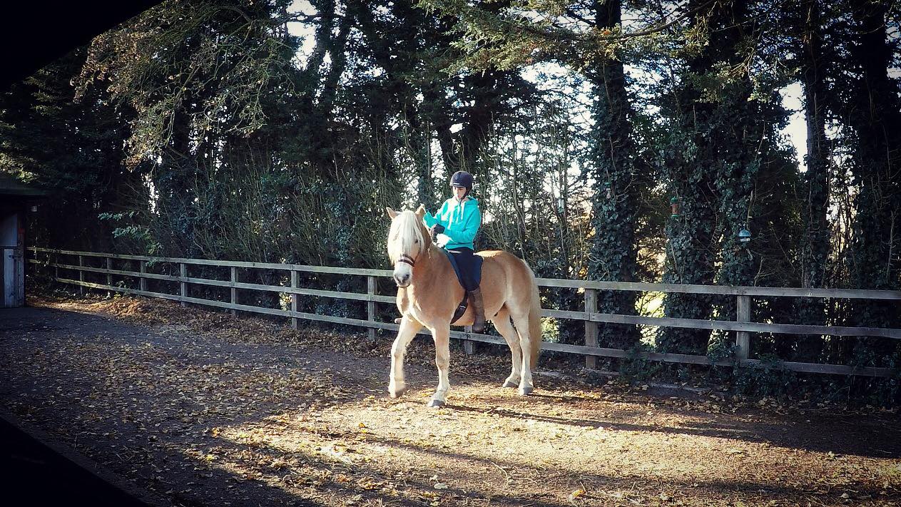  5 minute exercises for a healthy, happier horse! 