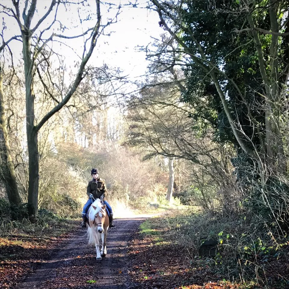  Trail ride bliss! 