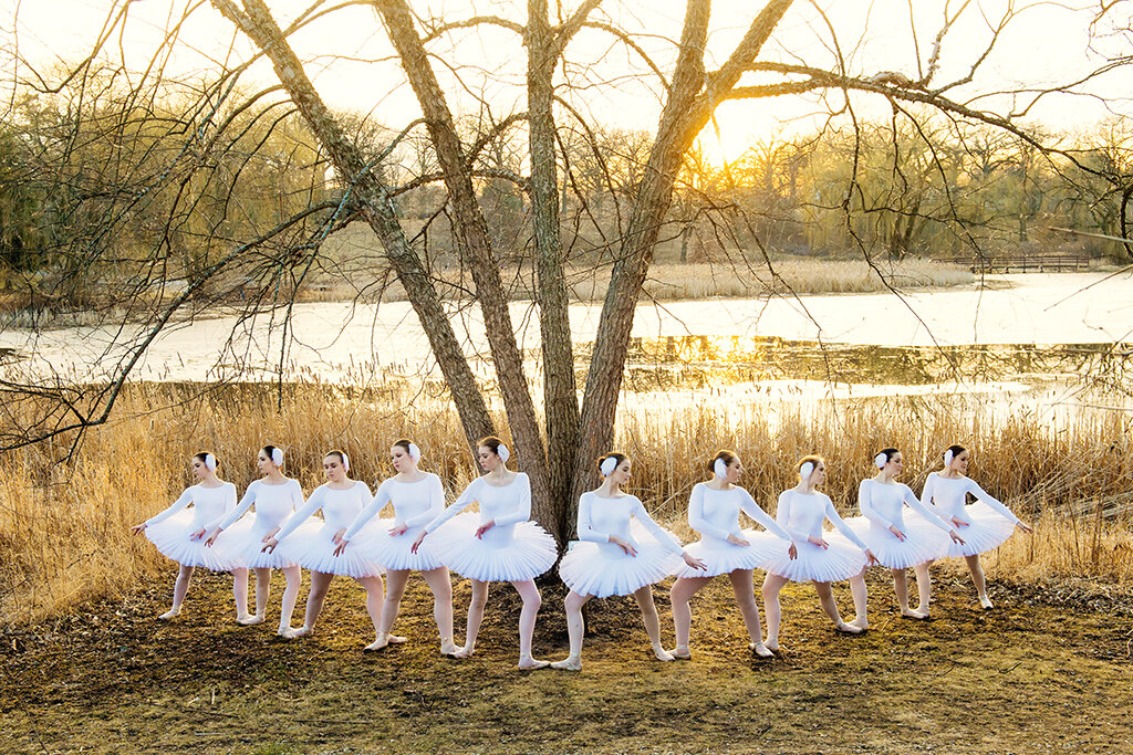 white-swan-ballet-0420b web.jpg
