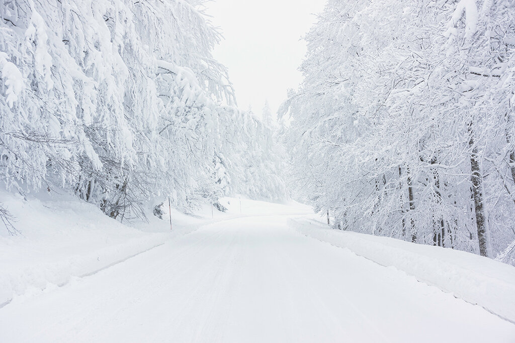 snowy road snowy trees-1066508460 web.jpg