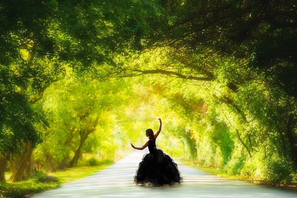 princess-dancer-3214 web.jpg