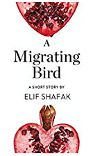 Wayne Powell Law Firm | TED Talk Tuesday from Author Elik Shafak |  A Migrating Bird.png