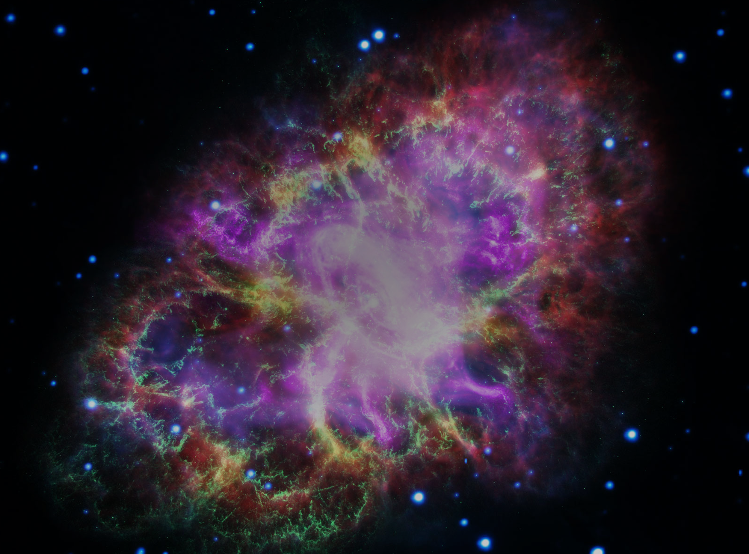 Hero-FPO-2500x1850-crab.png