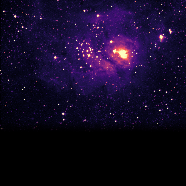 Kinia K. (MicroObservatory)