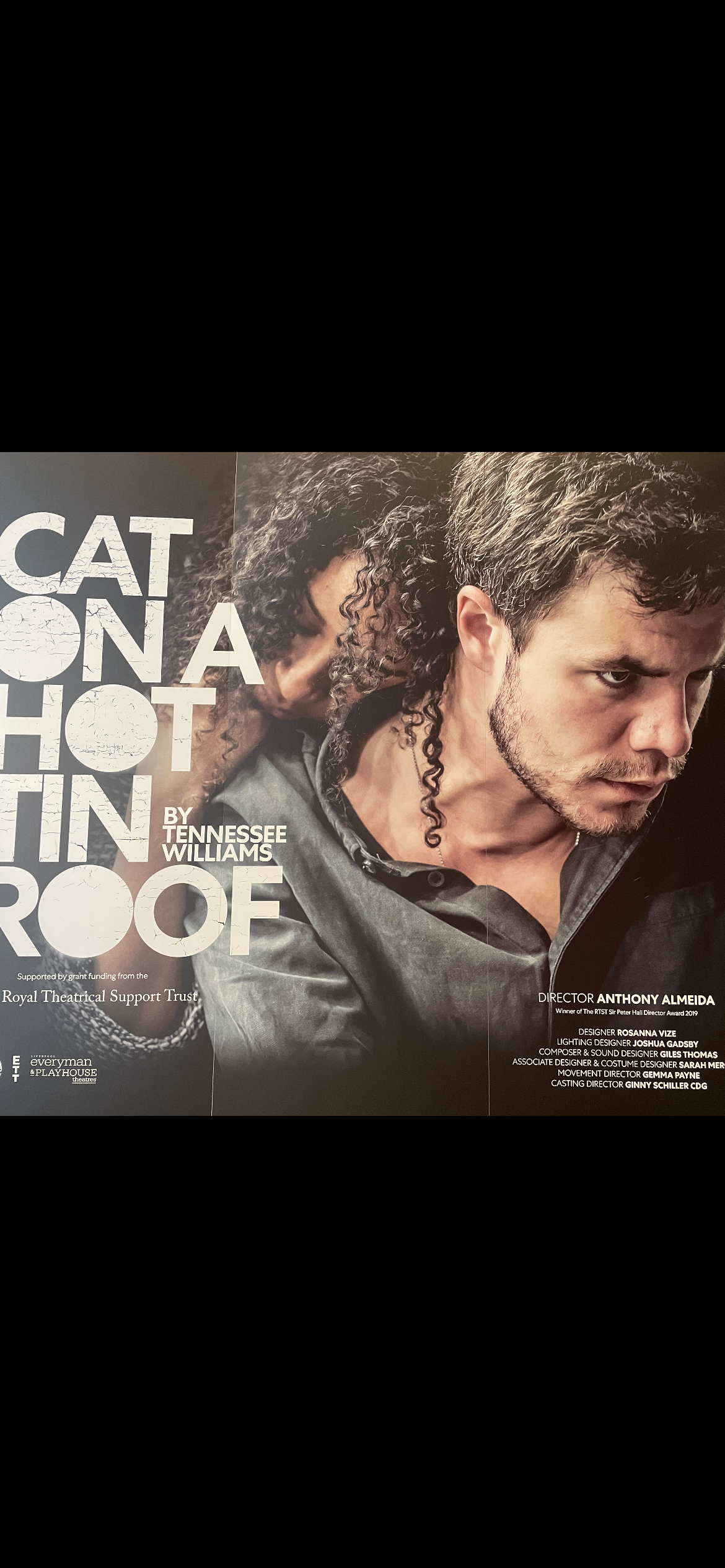 Cat On A Hot Tin Roof