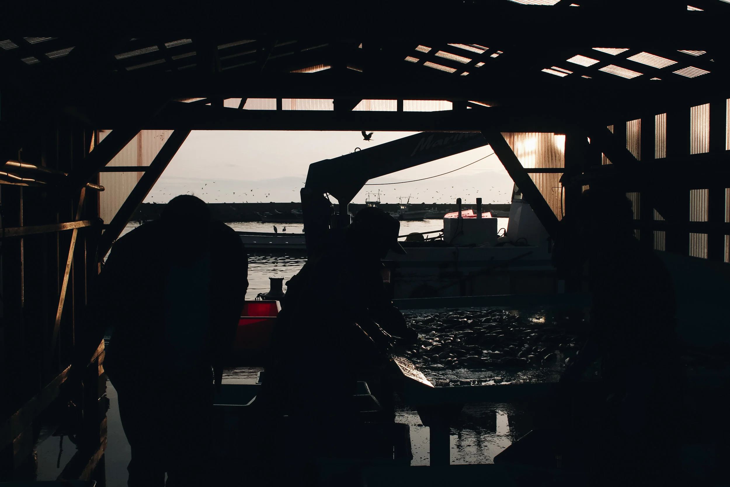 dock2.jpg