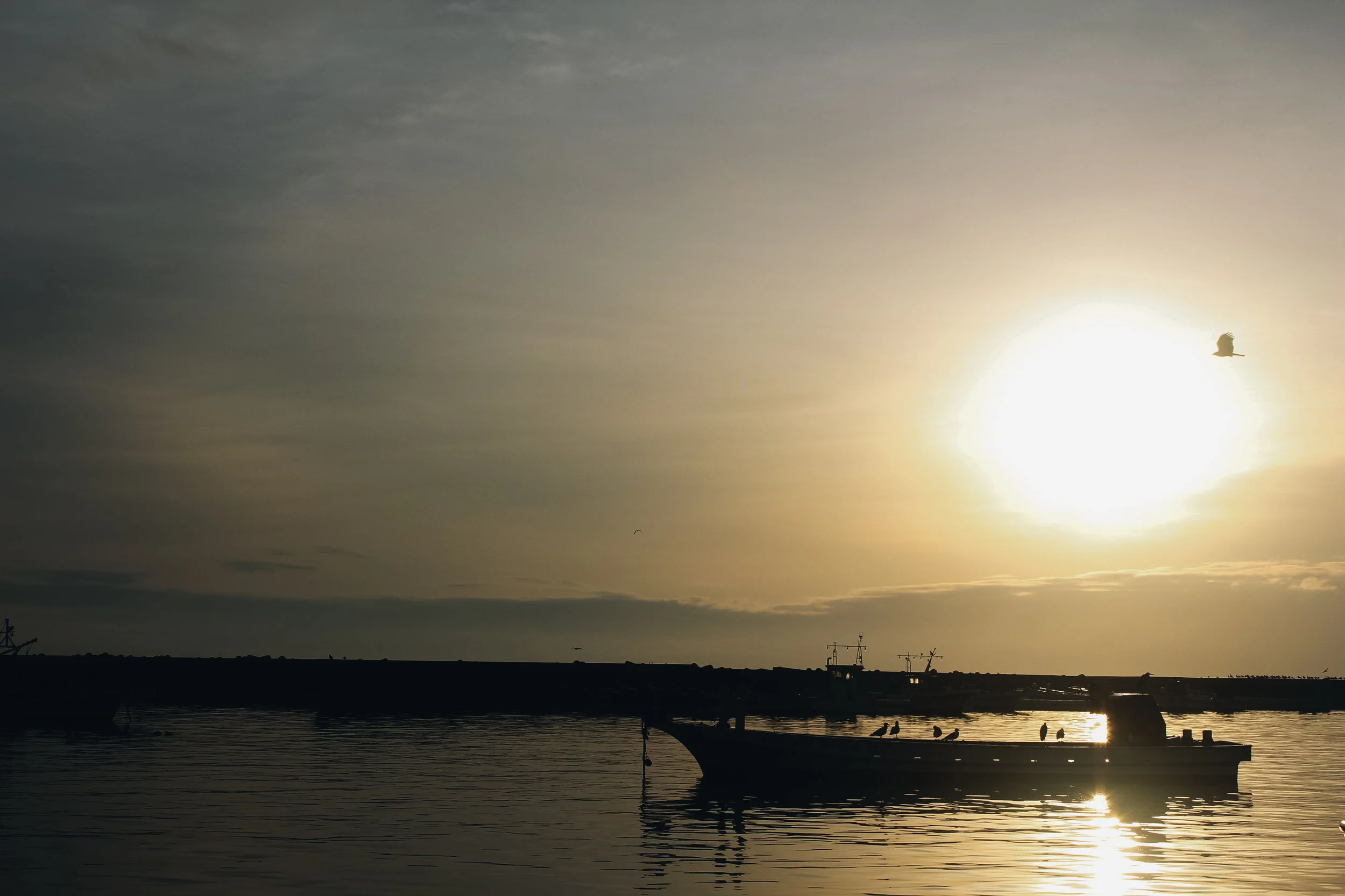 sunrise2.jpg